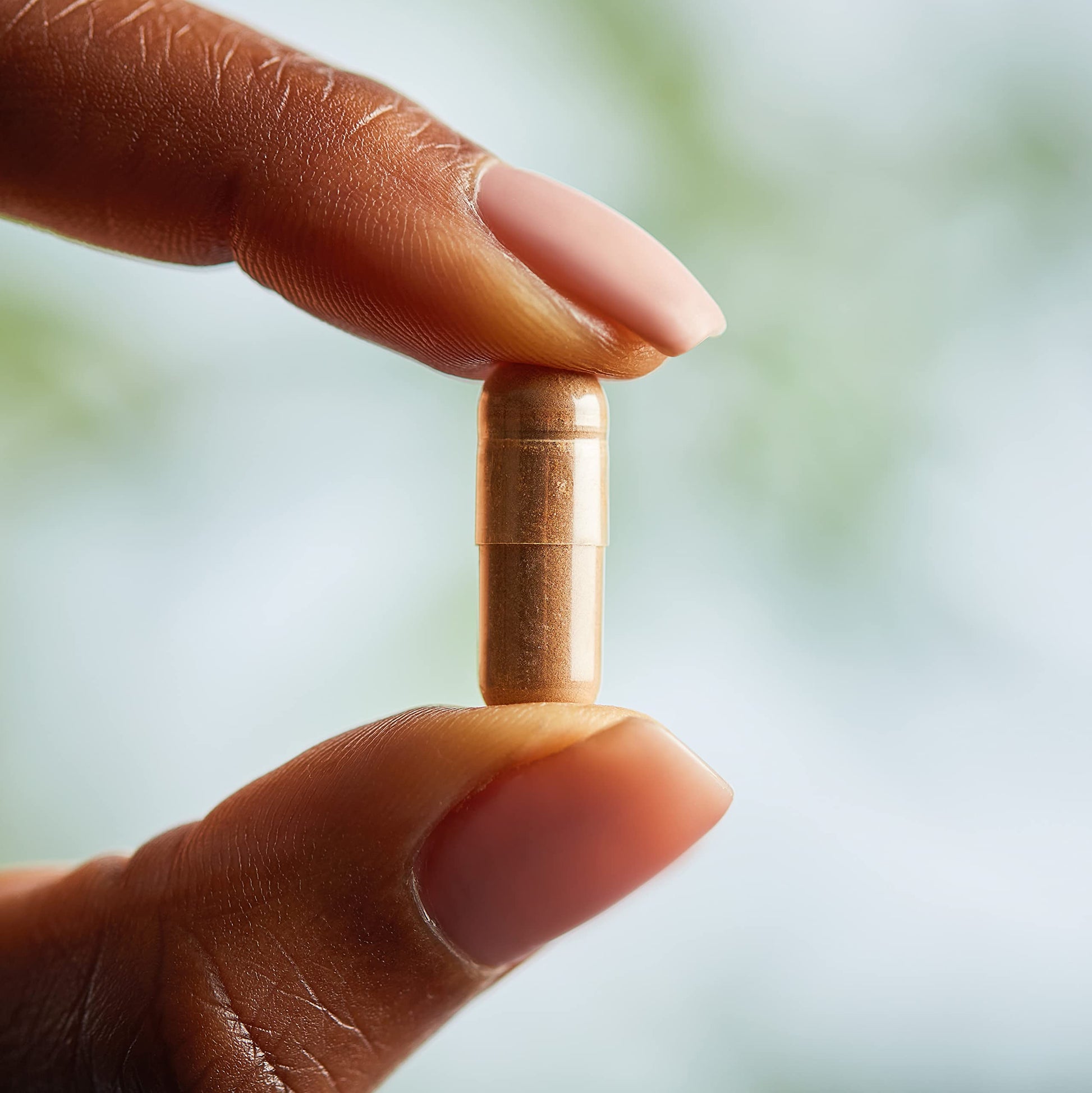 Solgar Standardized Full Potency Green Tea Leaf Extract Vegetable Capsules, 60 Count - Medaid International