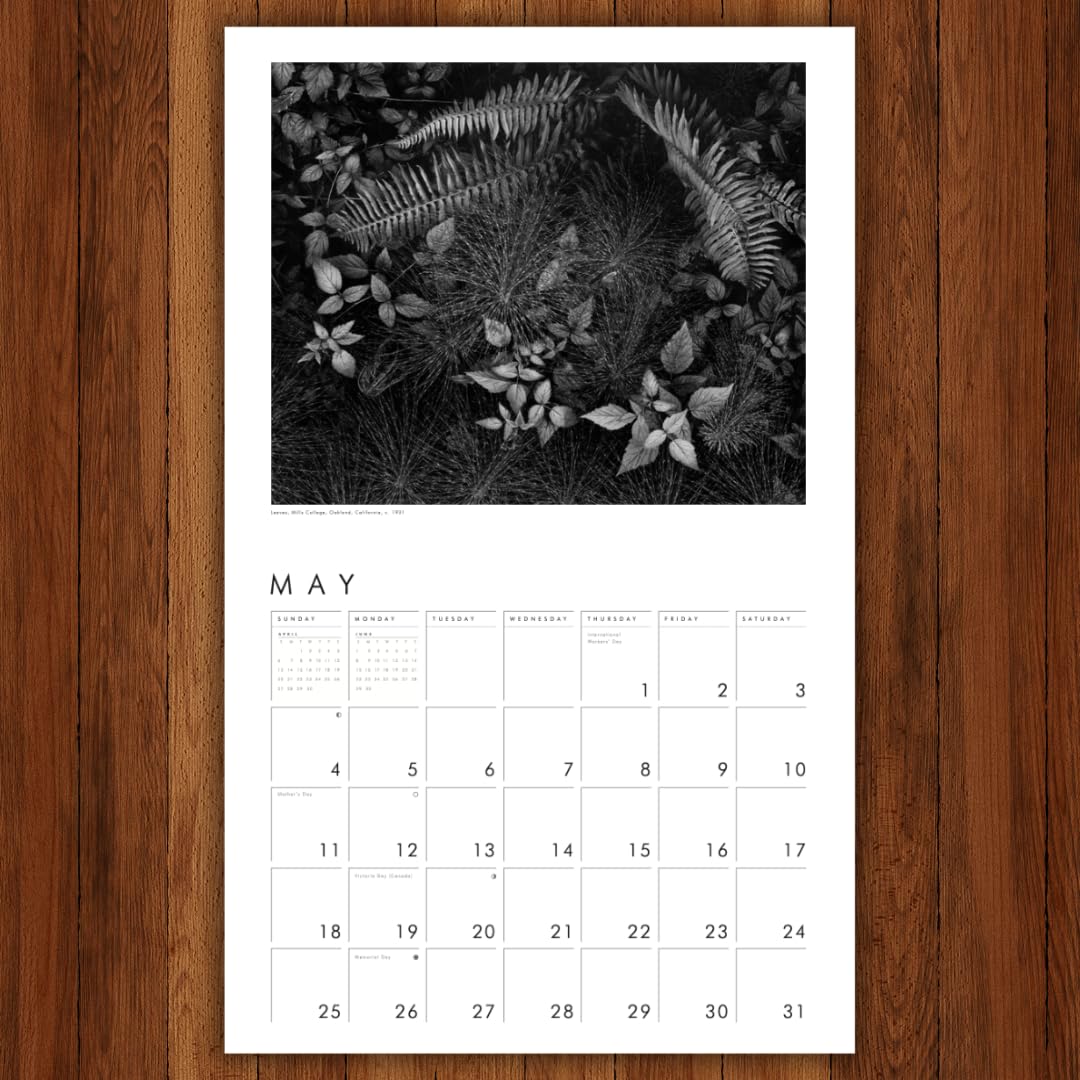 Ansel Adams 2025 Wall Calendar: Authorized Edition: 13-Month Nature Photography Collection (Monthly Calendar) - Medaid International