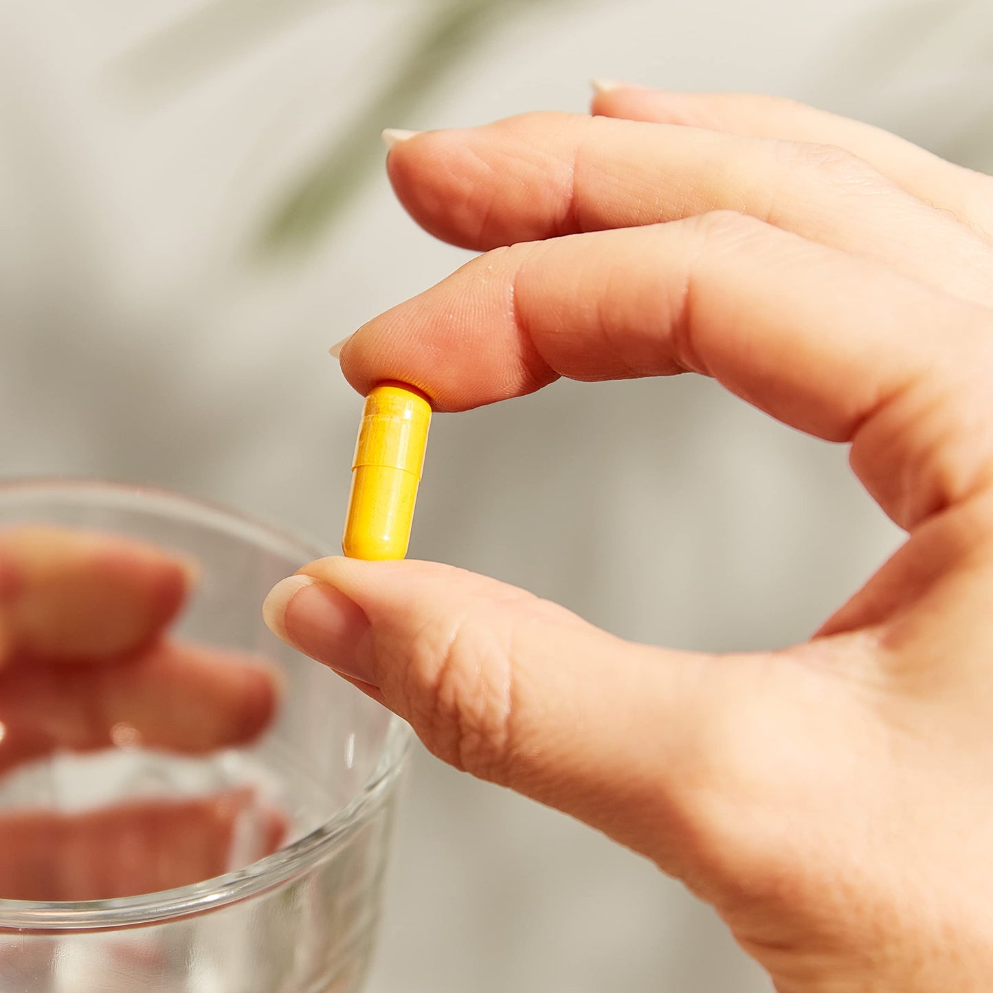 Solgar Standardized Turmeric Root Extract 400 mg, 60 Vegetable Capsules - Antioxidant Support for Brain, Joint, & Immune Health - Non-GMO, Vegan, Gluten Free, Dairy Free, Kosher - 60 Servings - Medaid International