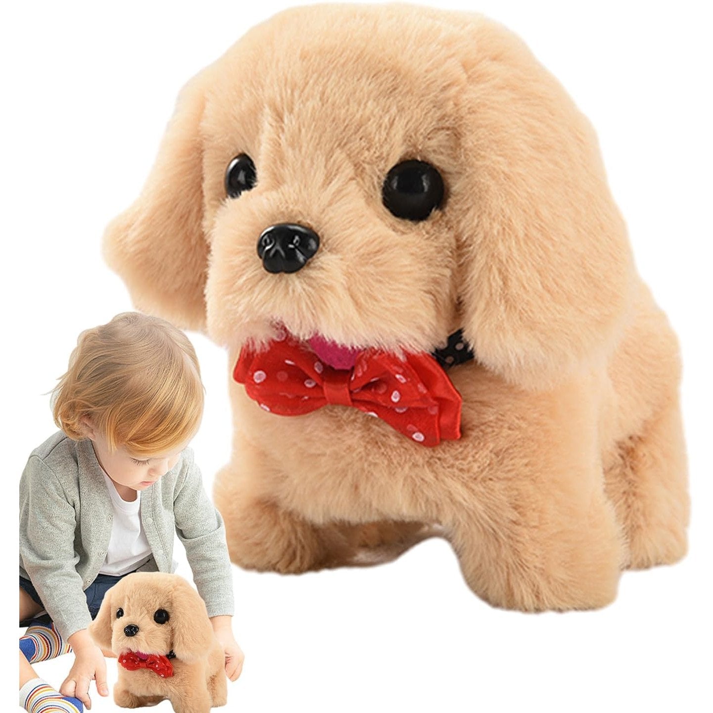 Moving Dog - Medaid International