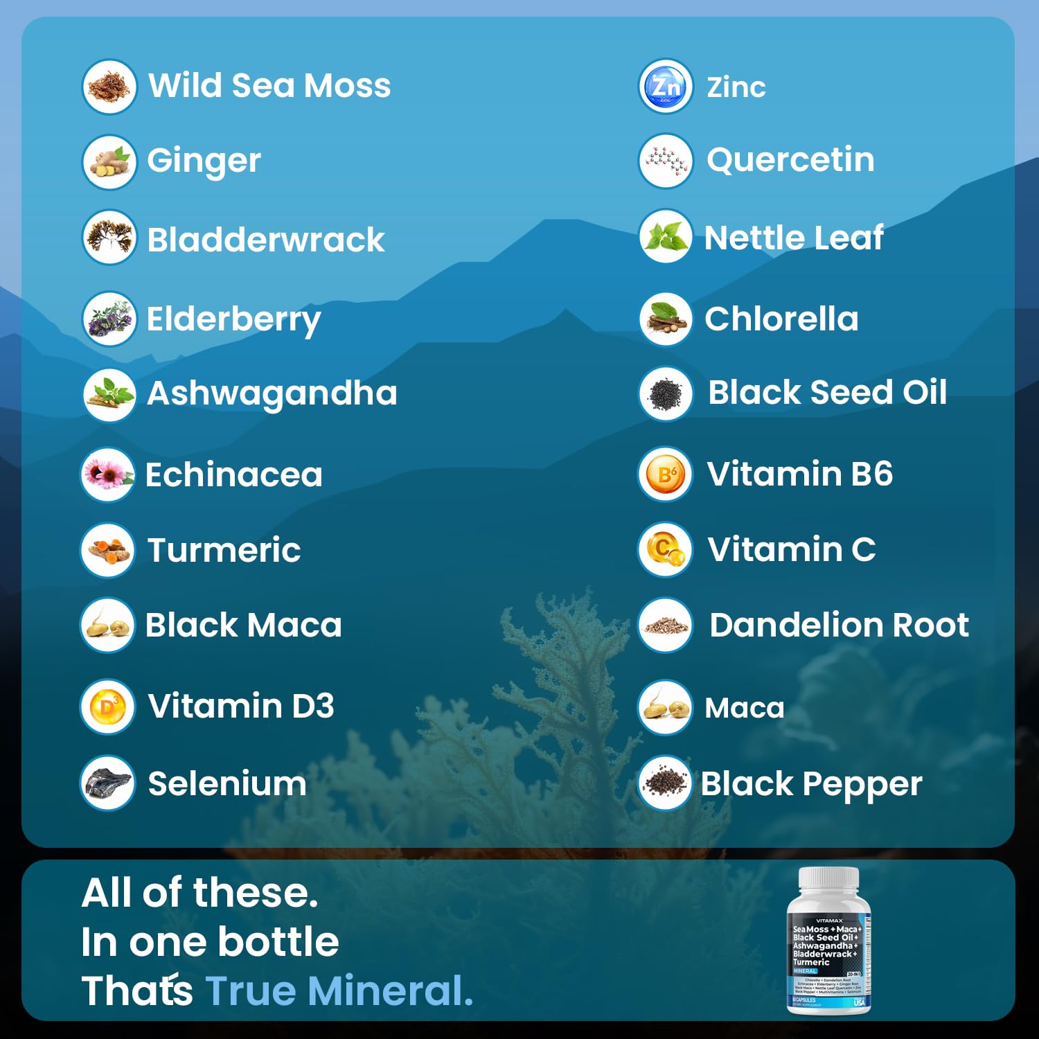Sea Moss, Maca, Black Seed Oil, Ashwagandha, Bladderwrack, Turmeric - Elderberry, Vitamins C & D3, Dandelion & Black Pepper - Made in USA- 120ct - Medaid International