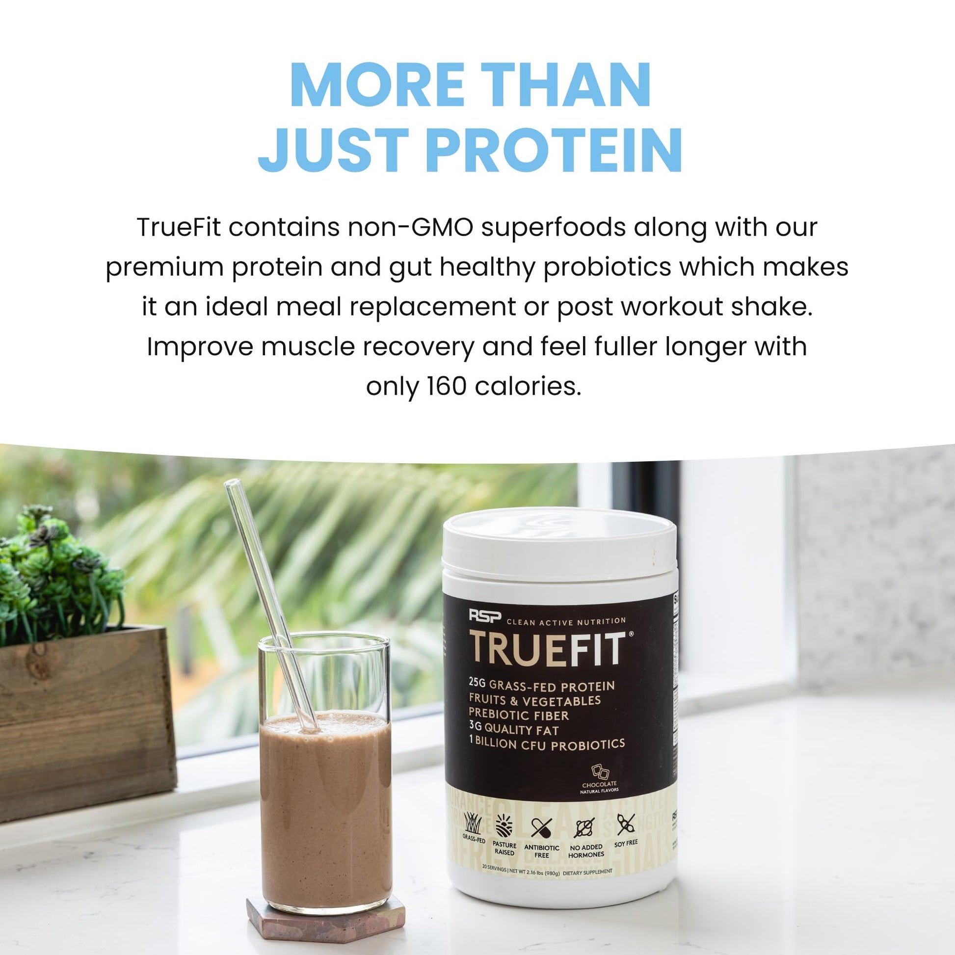 TrueFit Gut Healthy Protein Powder, Grass-Fed Whey Meal Replacement Shake with Prebiotics, Probiotics, & Organic Superfoods, Keto Friendly, Gluten Free (Packaging May Vary) - Medaid International