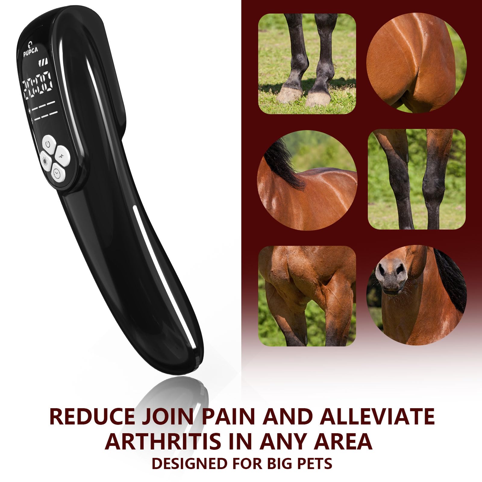 Cold Laser Therapy Device for Horse, Portable Red Light Therapy with 4pcs 808nm and 12pcs 650nm, Near Infrared Laser for Arthritis Pain Relief- Electrical Stimulation for Tendon, and Ligament Recover - Medaid International