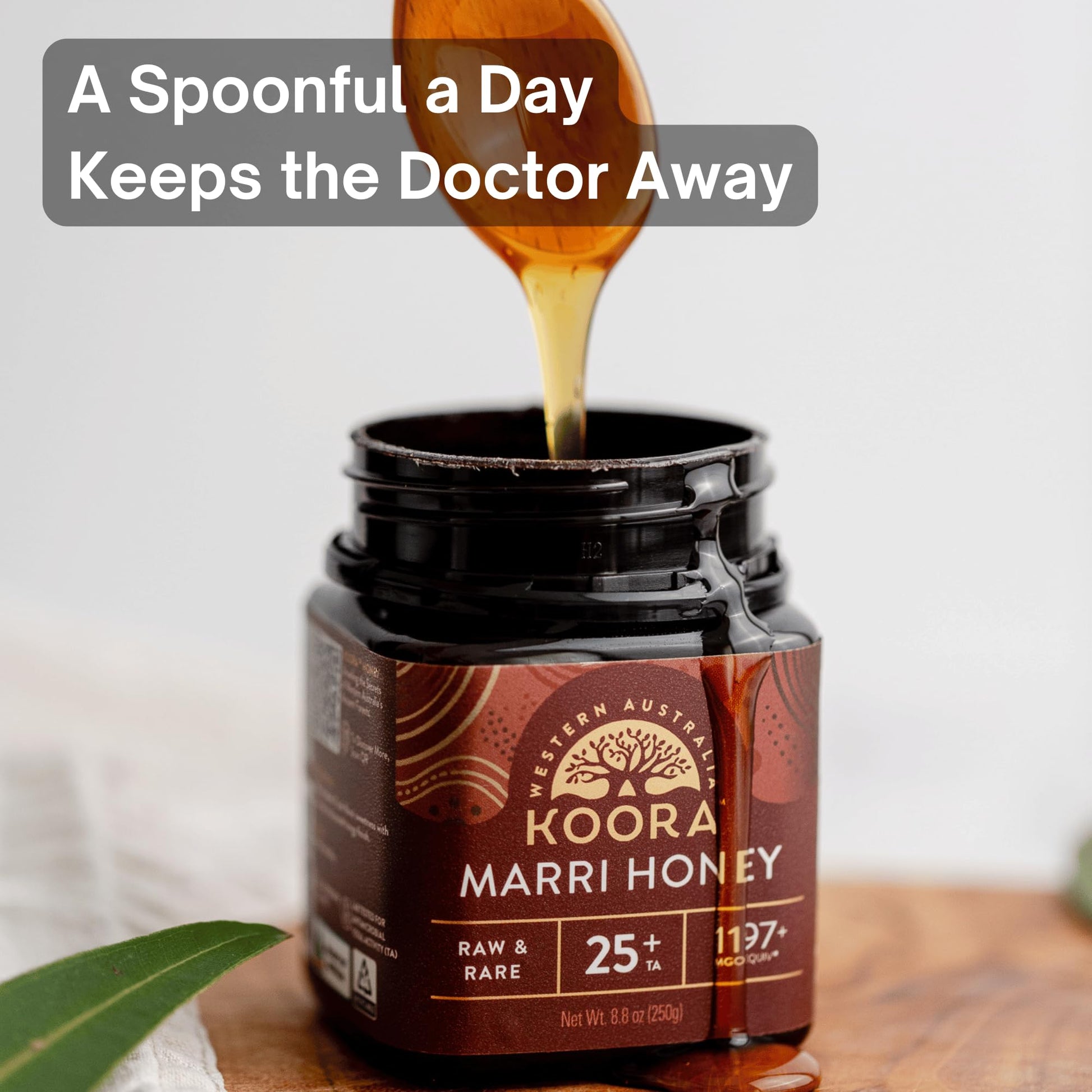 KOORA Marri Honey TA 25+ (MGO 1197+ Manuka Honey Rating Equiv.) Low GI, Raw Medicinal Honey for Daily Health & Immune Support, from the Ancient Wild Forests of Western Australia, 8.8 oz - Medaid International