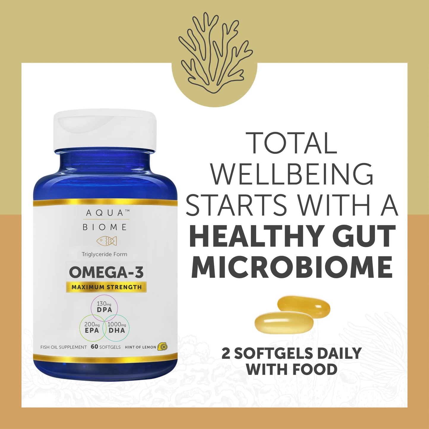 Enzymedica Aqua Biome Maximum Strength Omega 3 Fish Oil, 60 Softgels - Medaid International