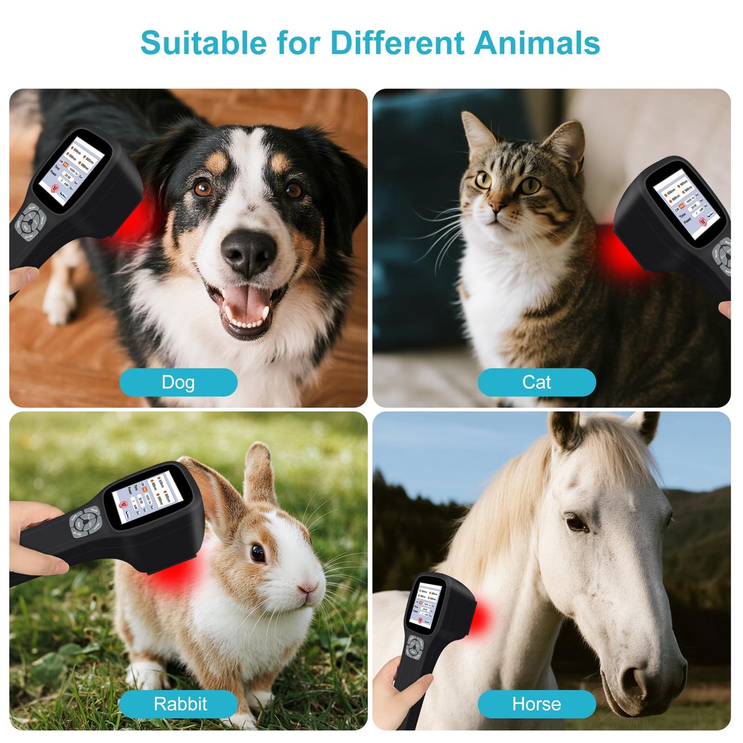 Frovab Cold Laser Therapy Device for Dogs, 5x980nm 5x905nm 5x808nm 10x650nm, Portable Infrared Light Therapy for Cats Equine Joint, Handheld Red Light Therapy Device, Pet Laser Therapy for Pain Relief - Medaid International
