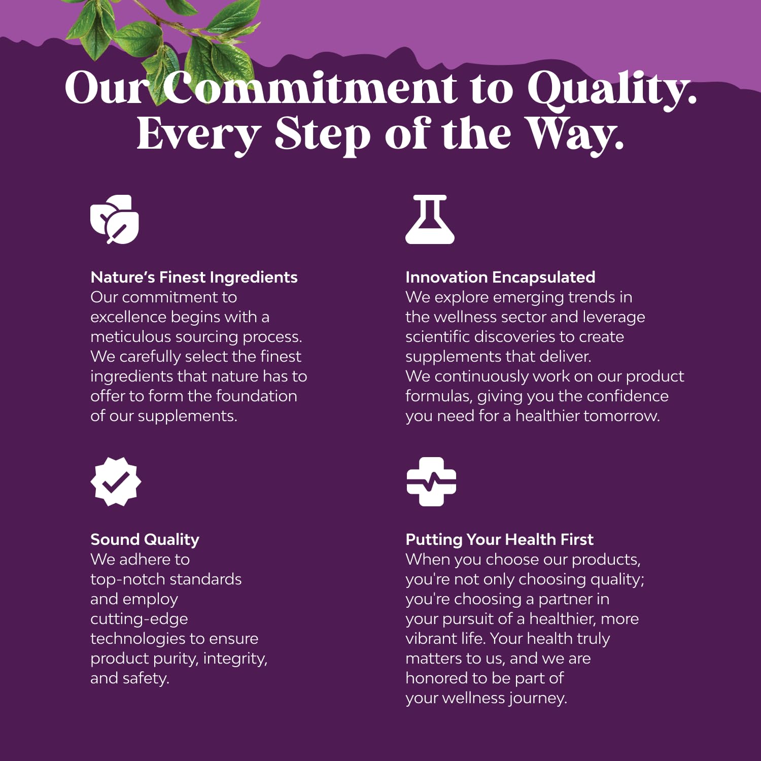 Complete Perimenopause Supplement for Women - Multibenefit Menopause Ease for Women with Maca Root Vitex Berry & Black Cohosh for Hot Flashes Night Sweats Hormone Balance and Mood Support (1 Month) - Medaid International