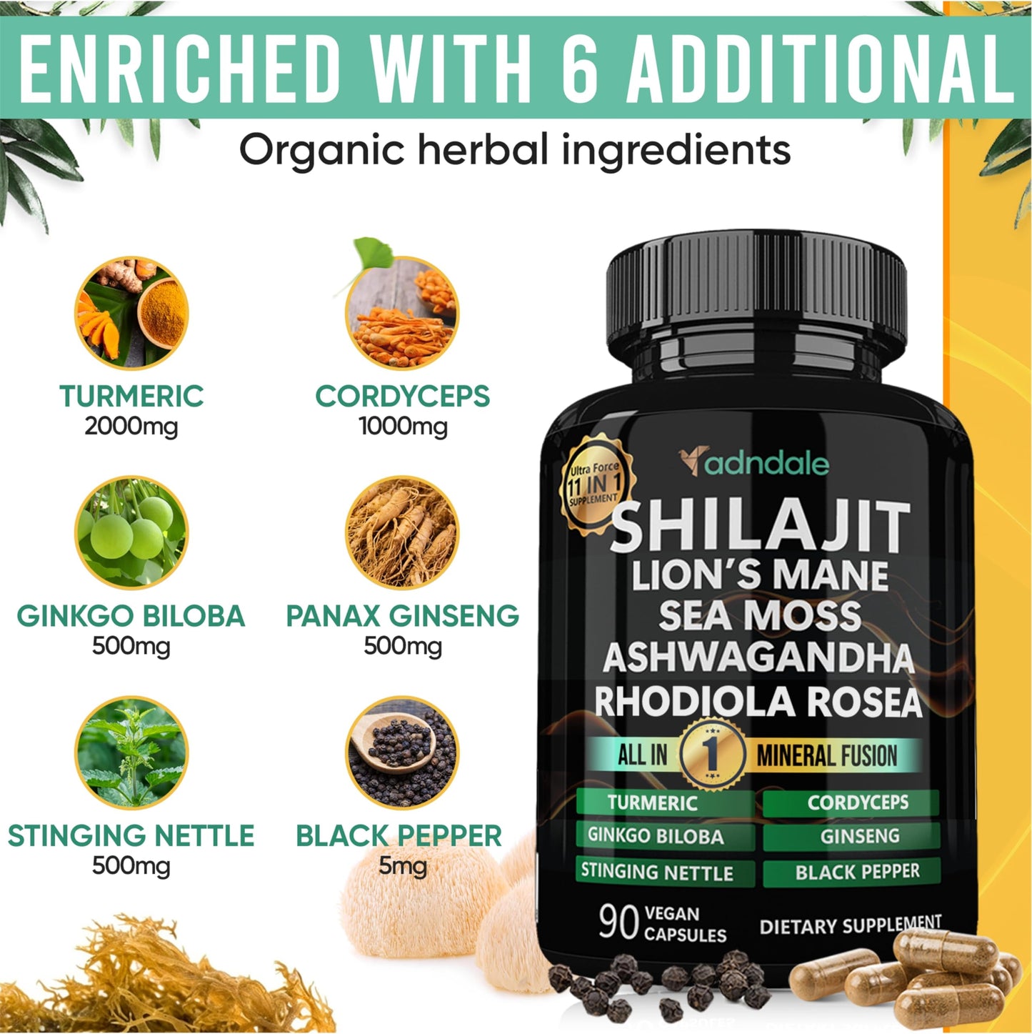 Adndale Shilajit Supplement. Pure Himalayan Organic Shilajit for Men and Women Capsules with Sea Moss Ashwagandha Rhodiola Rosea Lion’s Mane. 90 Count - Medaid International
