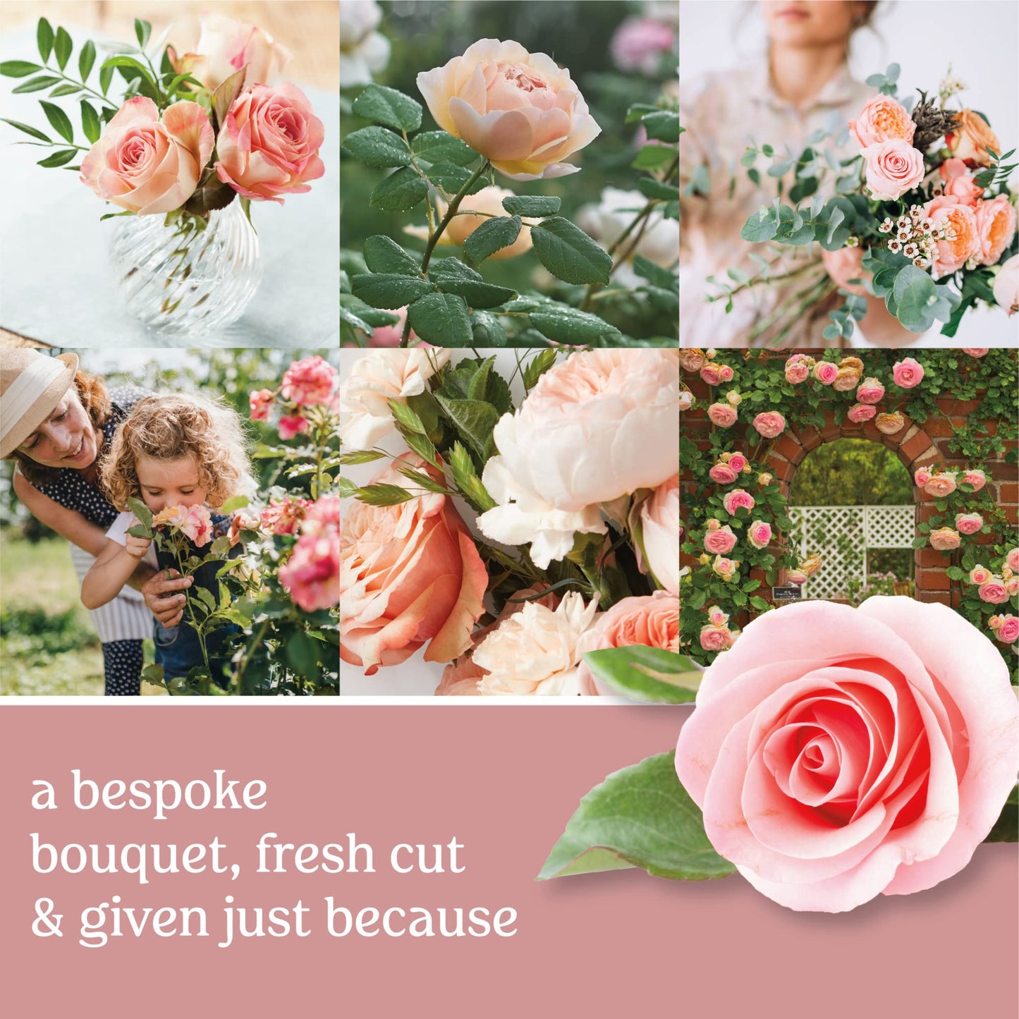 Yankee Candle Fresh Cut Roses Scented Premium 22oz Single Wick Candle Over 110 Hours of Long-Lasting Aroma Ideal for Home Decor Gifting and Events Classic Large Jar Pink - Medaid International