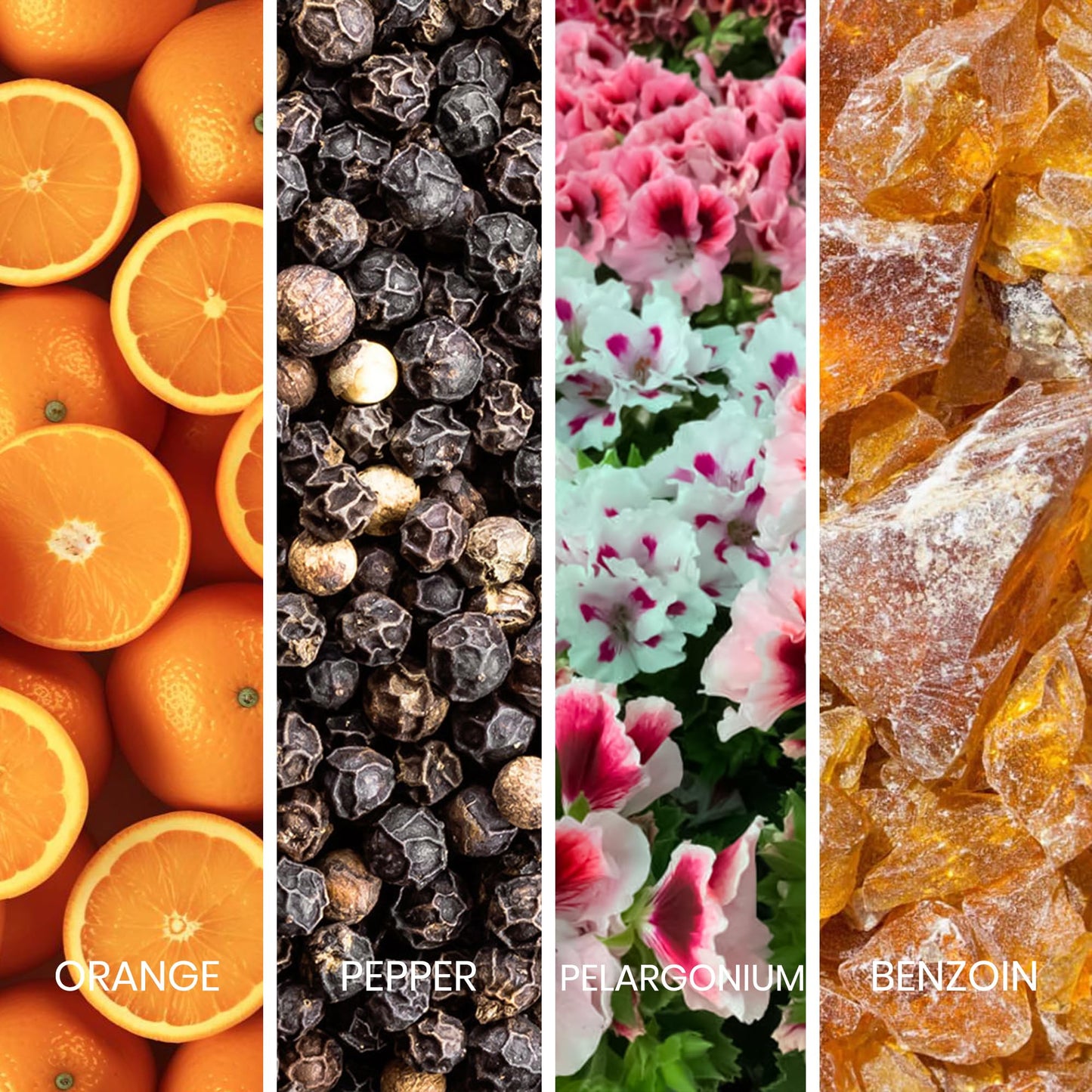 Sapil Legend Eau de Parfum for Men – Long-Lasting Dubai Perume – Spicy, Woody, Fresh & Aromatic Scent with Citrus & Warm Spices – 3.4 Oz (100ml) – Sophisticated Fragrance for Daily & Evening Wear - Medaid International