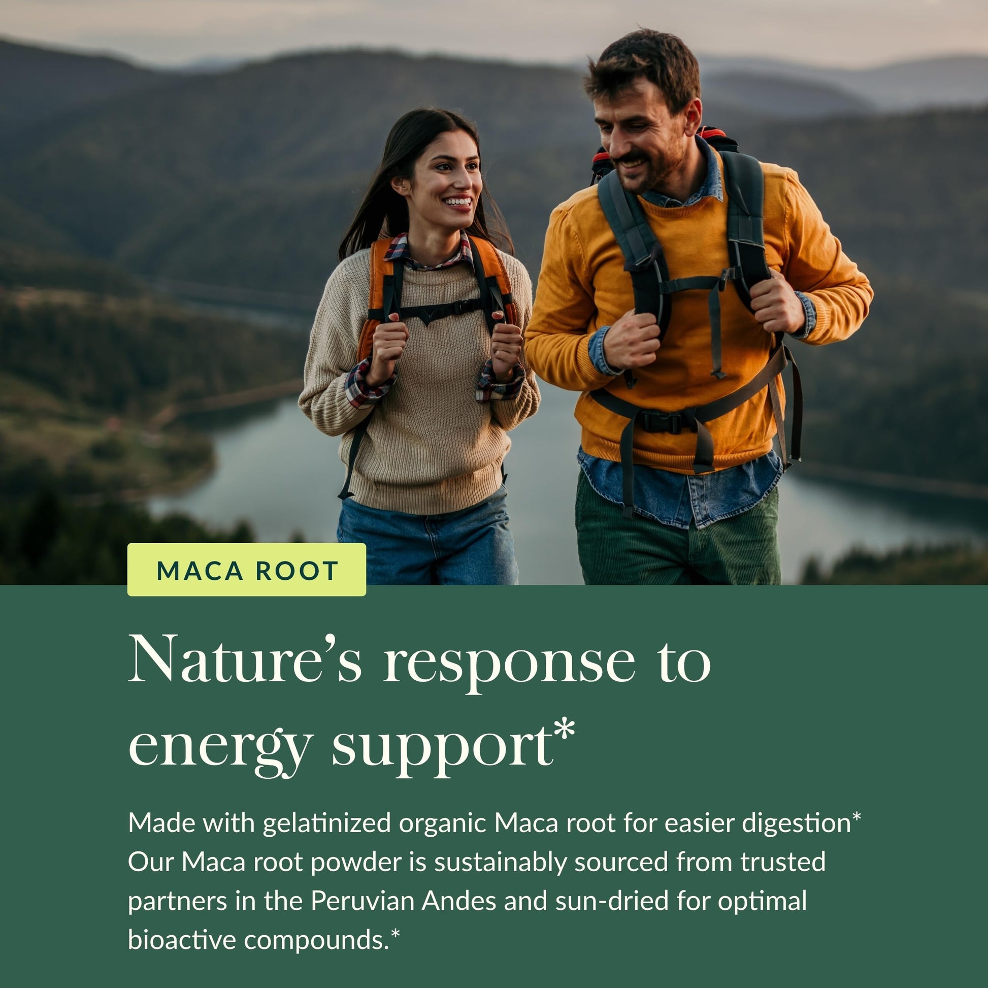 Gaia Herbs Maca Powder - Natural Energy Supplement - Supports and Maintains Healthy Energy and Stamina - Made with USDA Certified Organic Maca Root (Lepidium meyenii) - 8 Oz (69-Day Supply) - Medaid International