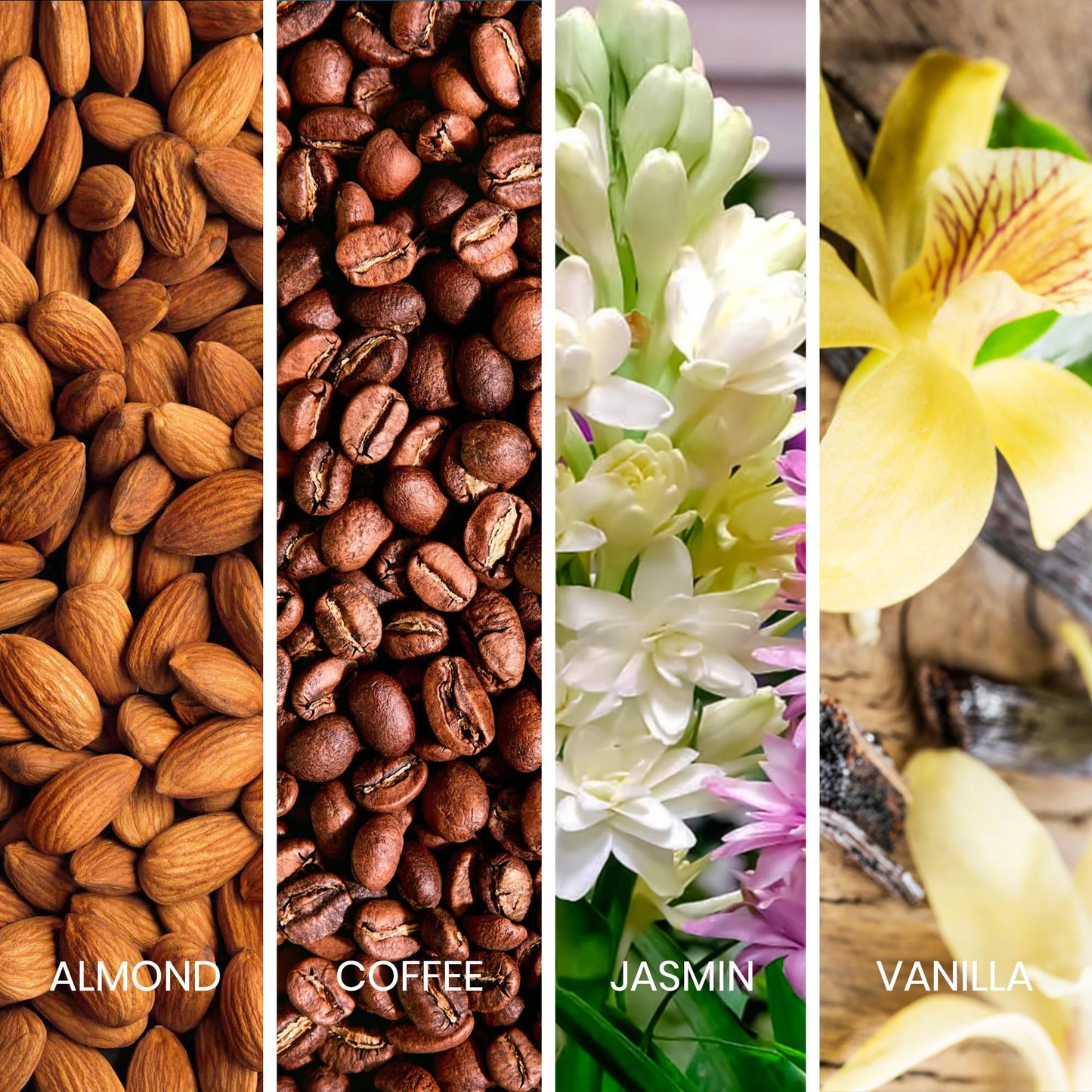 Sapil Vogue Eau de Parfum for Women – Long-Lasting Amber Floral Perfume with Almond, Coffee, Jasmine & Vanilla –3.4 Oz (100ml)–Dubai Fragrance for Women–Elegant & Uplifting Scent for Special Occasions - Medaid International