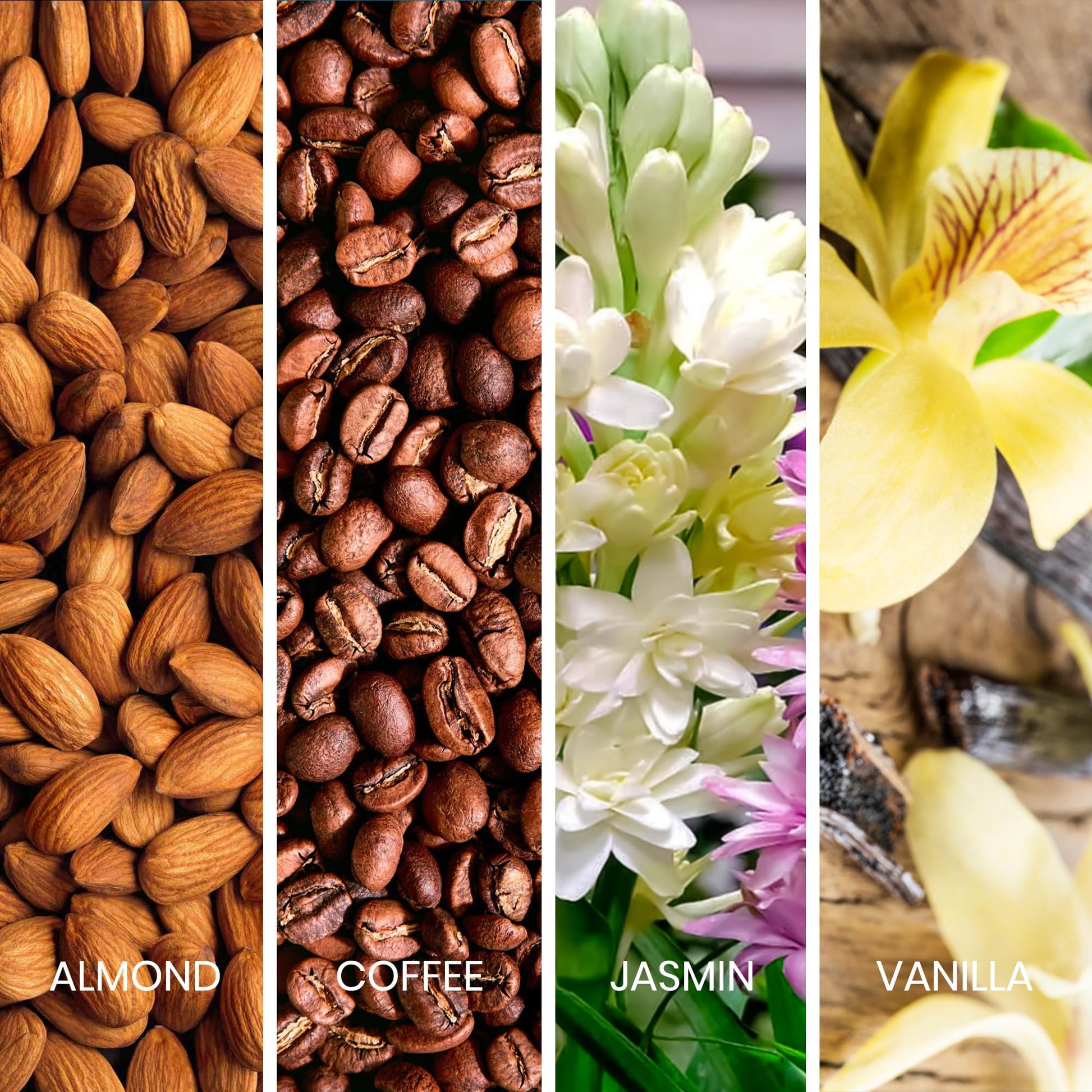 Sapil Vogue Eau de Parfum for Women – Long-Lasting Amber Floral Perfume with Almond, Coffee, Jasmine & Vanilla –3.4 Oz (100ml)–Dubai Fragrance for Women–Elegant & Uplifting Scent for Special Occasions - Medaid International