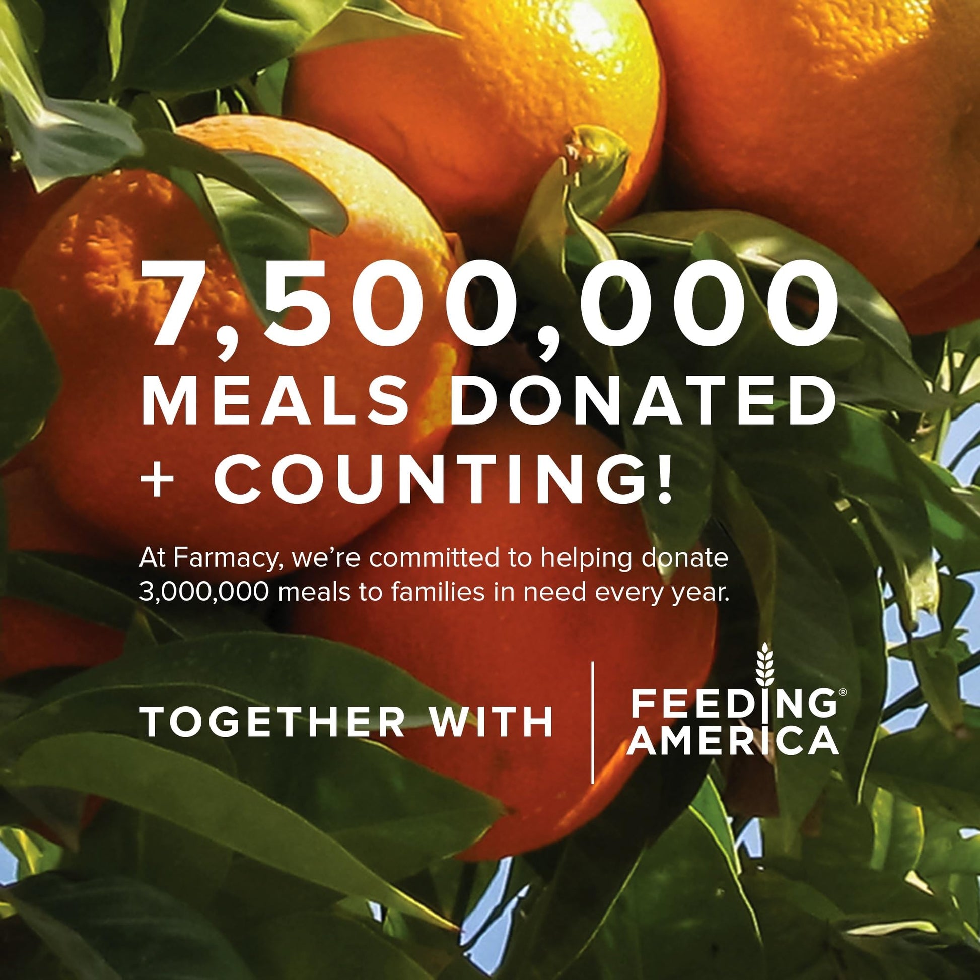 Farmacy Hyaluronic Acid Serum for Face - Filling Good Anti Aging Skin Care + Hydrating Face Serum - Plumping + Smoothing Wrinkle Serum to Visibly Firm Skin for a Youthful Complexion (30ml) - Medaid International