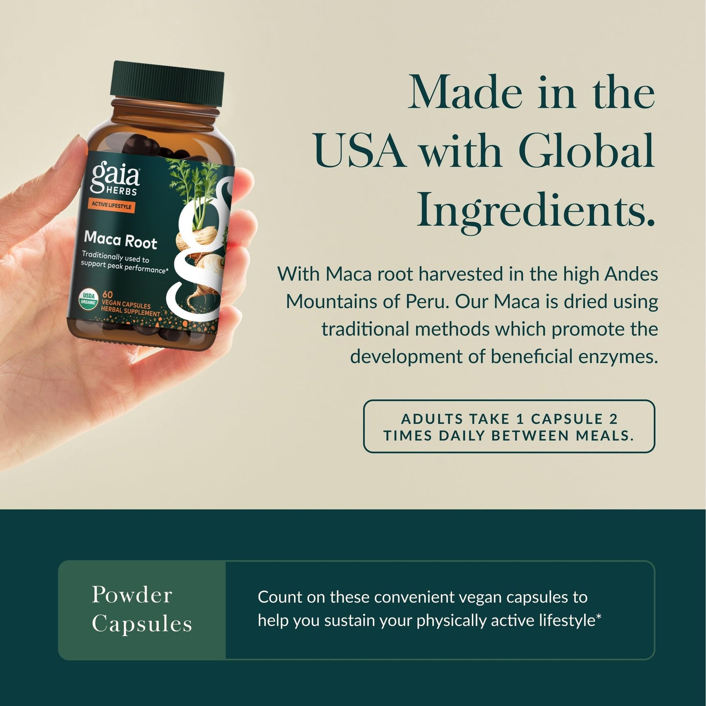 Gaia Herbs Maca Root - Caffeine-Free Natural Energy Supplement - Supports and Maintains Healthy Energy and Stamina - Made with Organic Maca Root (Lepidium meyenii) - 60 Vegan Capsules (30-Day Supply) - Medaid International