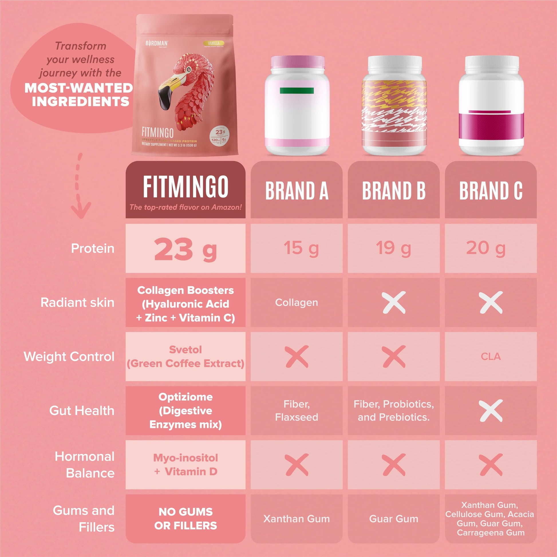 BIRDMAN Fitmingo Vegan Protein Powder with Inositol, Collagen Boosters, Hyaluronic Acid and Vitamins | Low Carb, Dairy Free, Low Calorie | 23g Plant Based Blueberry Protein Powder with Myo-Inositol - Medaid International