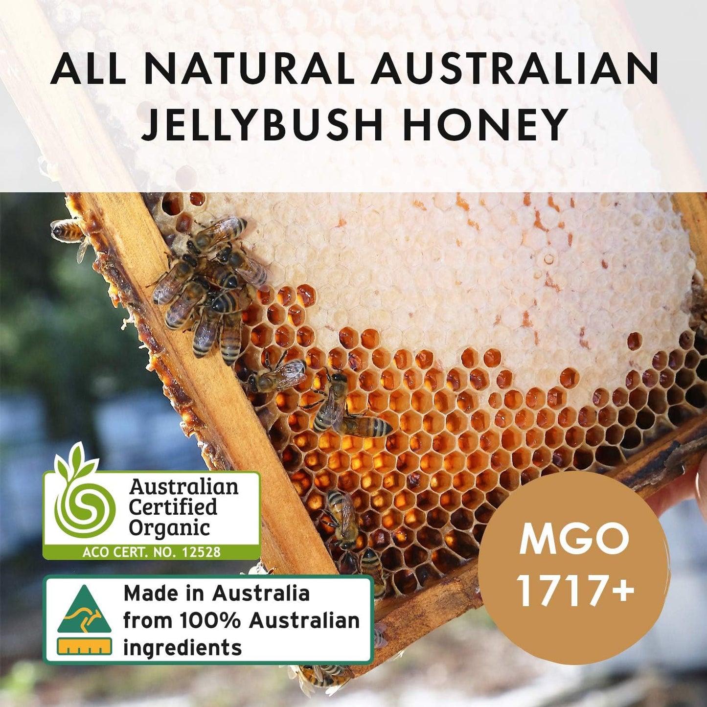 BIOSOTA Organic Manuka Honey MGO 1717+ - Medical Grade Manuka Honey from Australia NPA/ULF 31+, 100% Raw Unheated Pure Honey, 8.8oz (1717+) - Medaid International