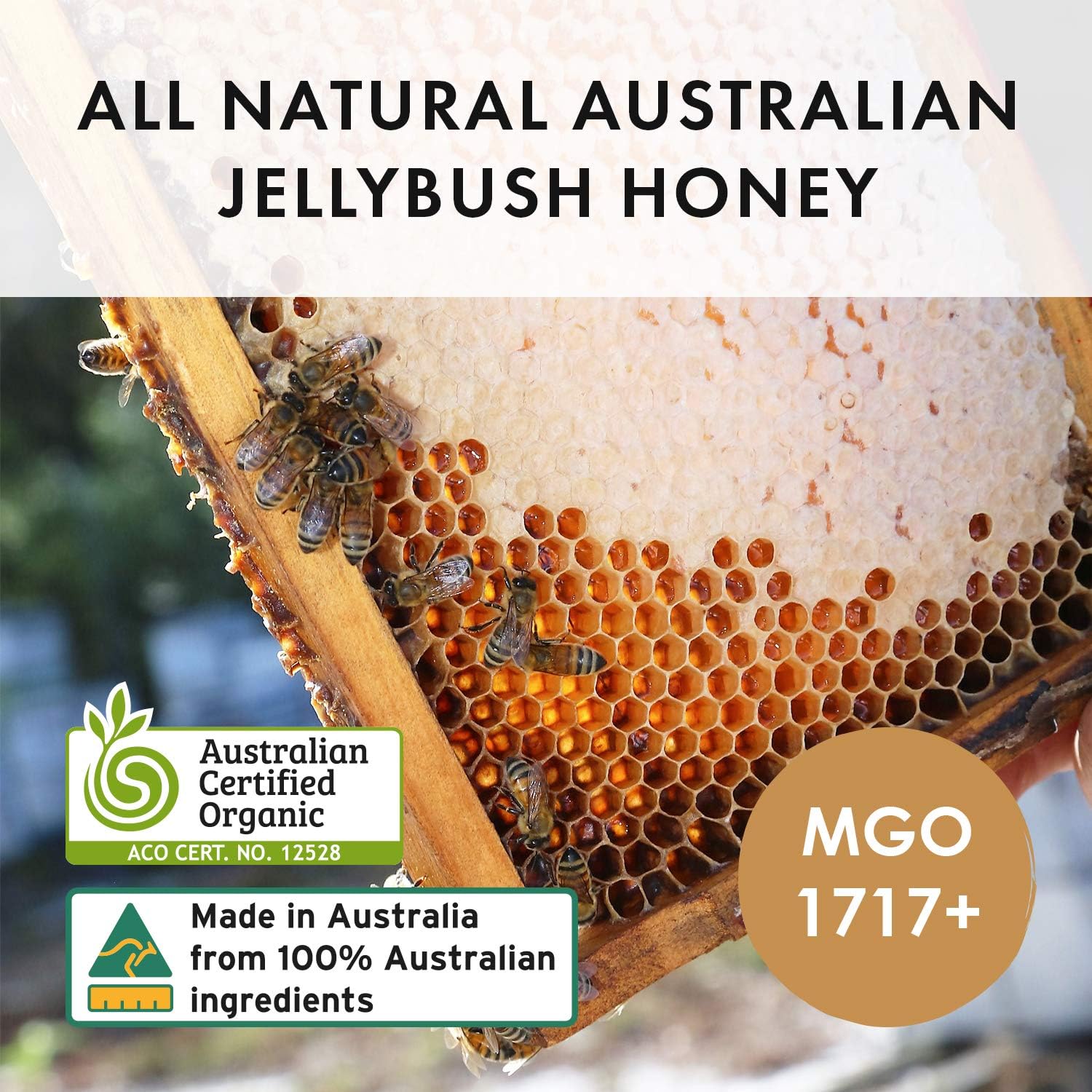 BIOSOTA Organic Manuka Honey MGO 1717+ - Medical Grade Manuka Honey from Australia NPA/ULF 31+, 100% Raw Unheated Pure Honey, 8.8oz (1717+) - Medaid International