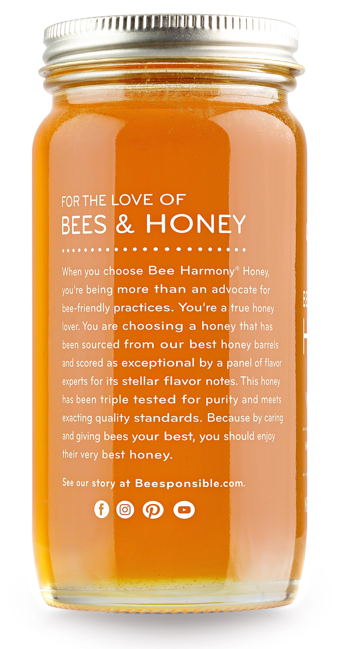 Bee Harmony American Raw Wildflower Honey, 12 OZ (Pack of 2 Jars) - Medaid International