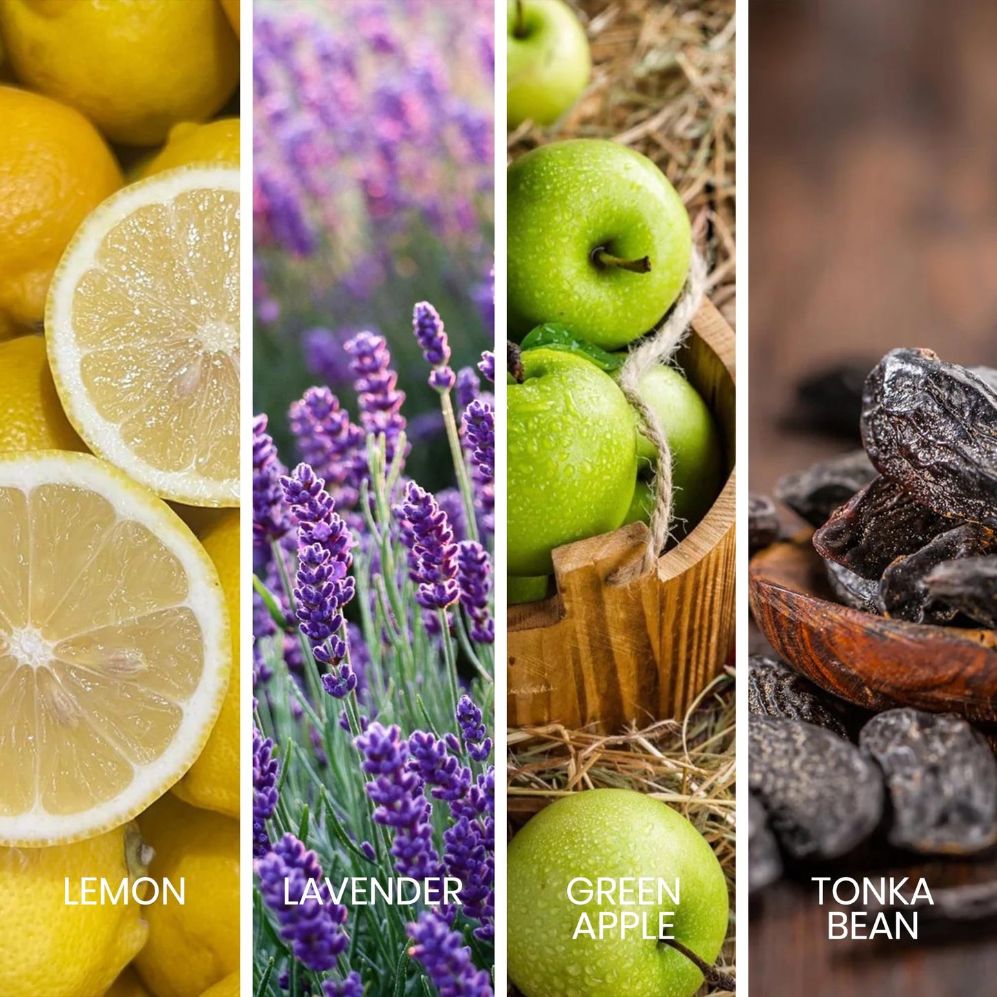 Sapil Intense Aromatic Spicy Men's Eau de Toilette with Lemon, Ginger & Vetiver – Long-Lasting, Bold & Masculine Fragrance for All Seasons & Occasions (100ml / 3.4oz) - Medaid International