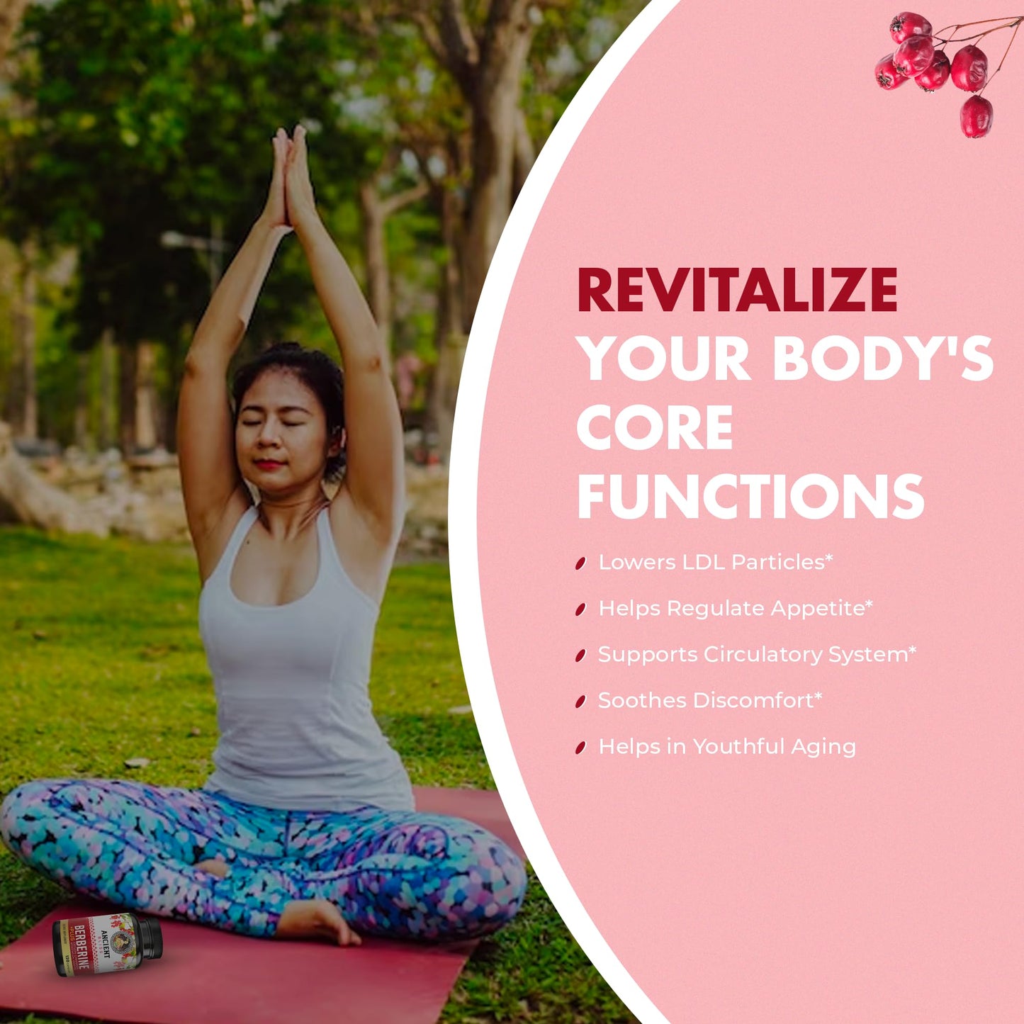 Ancient Bliss Berberine HCL 1200mg with Ceylon Cinnamon, Bitter Melon, and Green Tea Extract - 120 Capsules - Medaid International