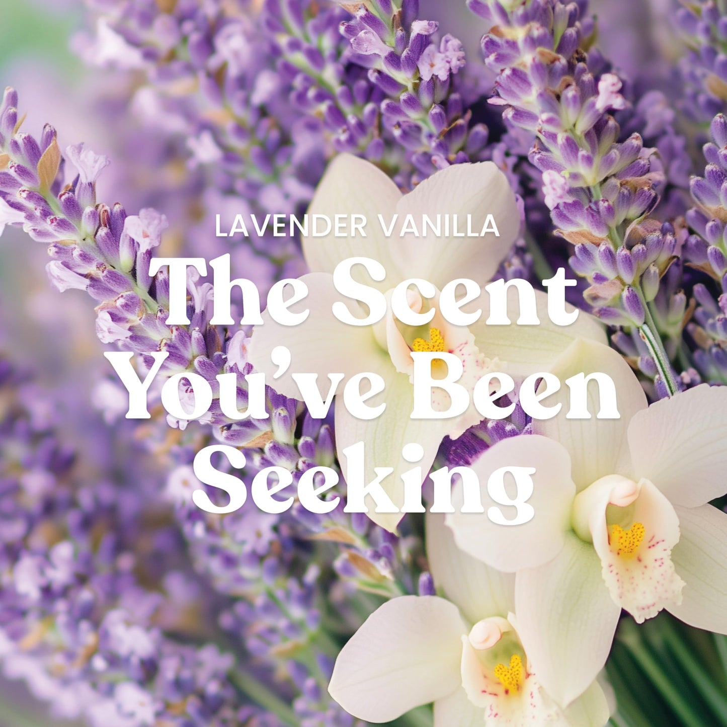 Yankee Candle Lavender Vanilla Scented Candle, 22oz Large Jar with up to 150 Hour Burn Time, Giftable - Medaid International