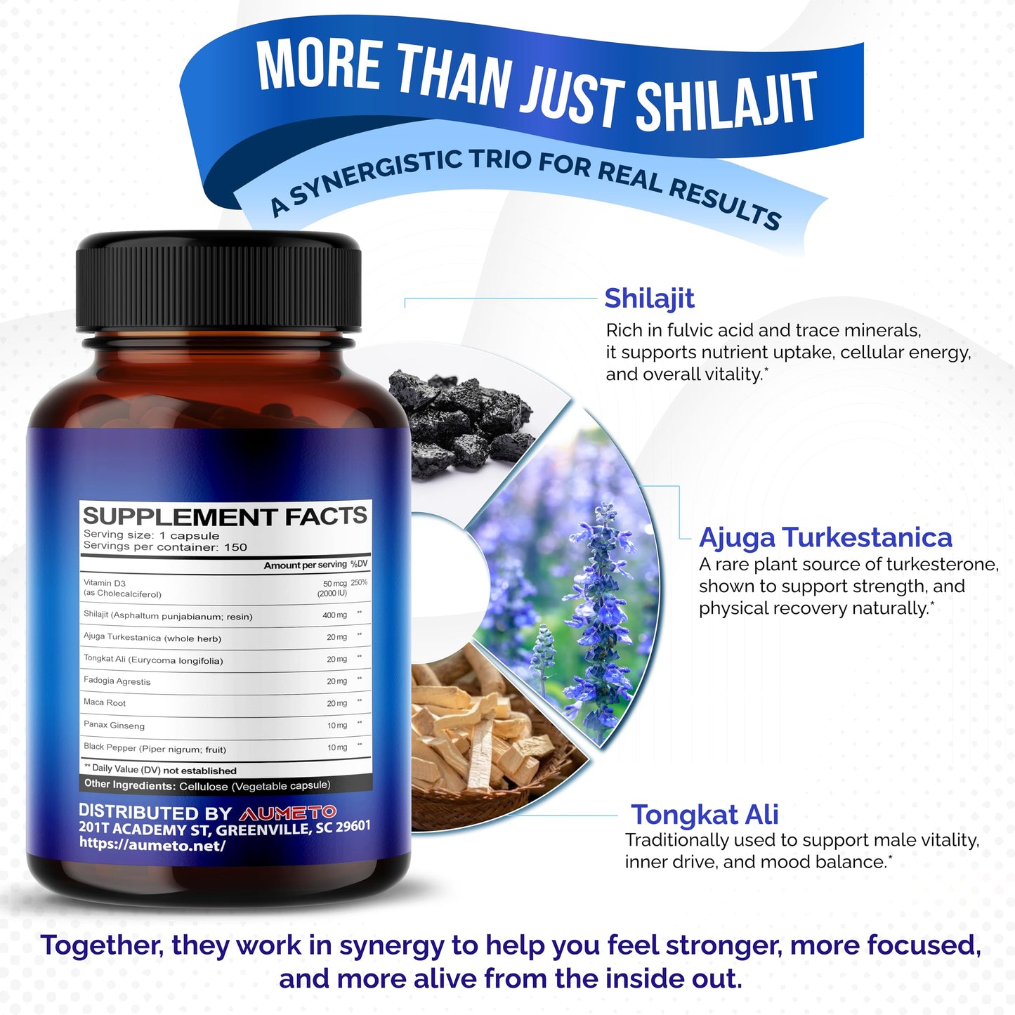 AUMETO Himalayan Shilajit Supplement - Enhanced Formula with Turkesterone, Maca Root, Tongkat Ali, Fadogia - Rich in Trace Minerals & Fulvic Acid for Male Vitality - Medaid International