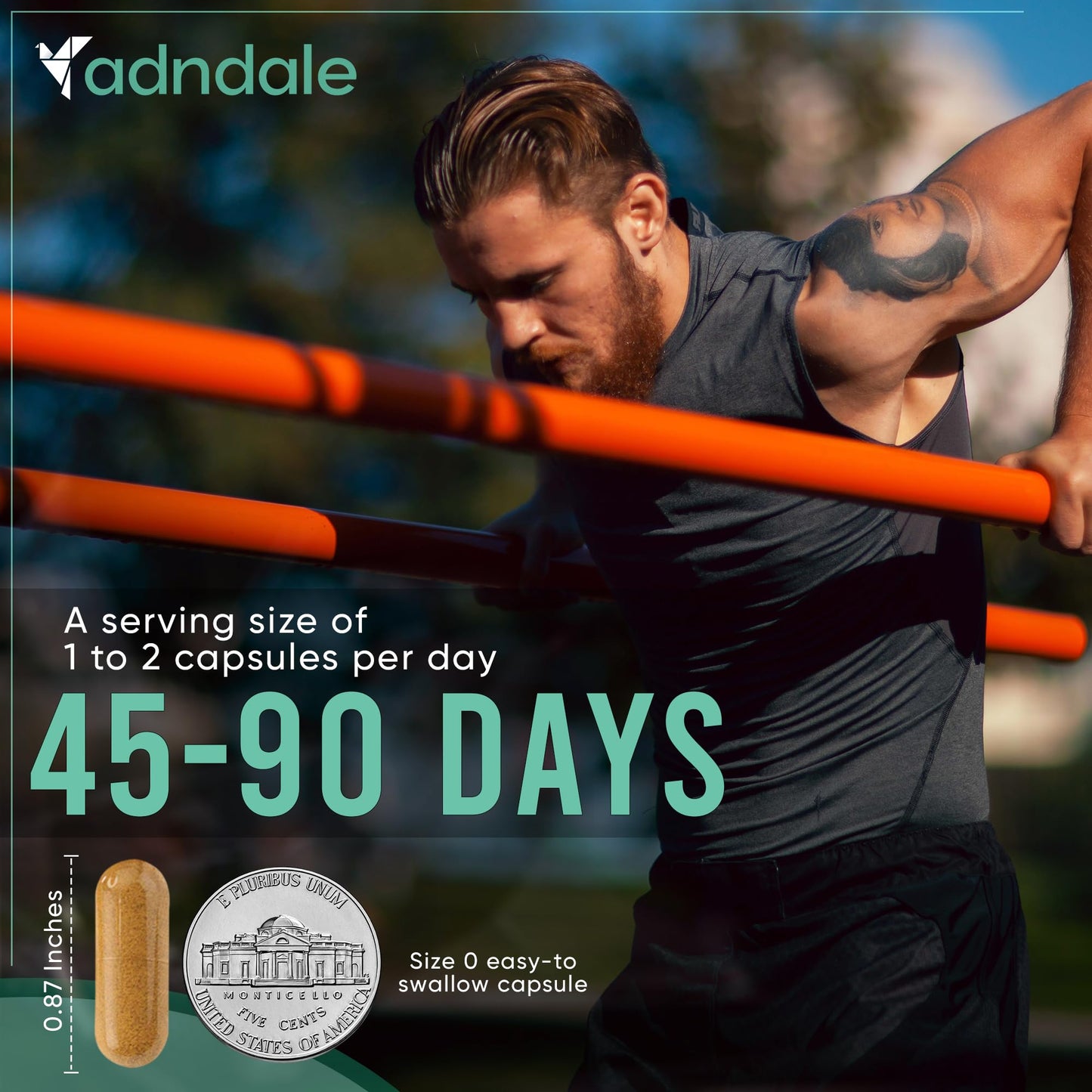 Adndale Shilajit Supplement. Pure Himalayan Organic Shilajit for Men and Women Capsules with Sea Moss Ashwagandha Rhodiola Rosea Lion’s Mane. 90 Count - Medaid International