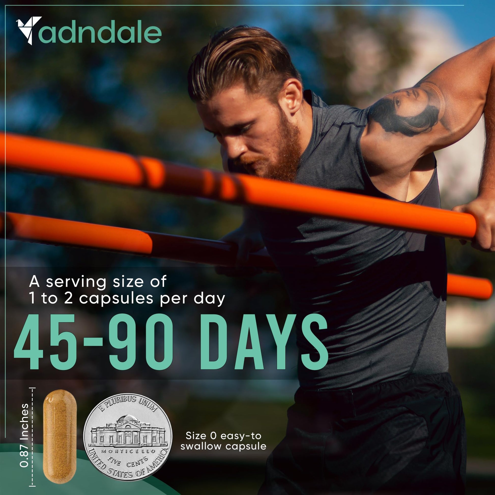 Adndale Shilajit Supplement. Pure Himalayan Organic Shilajit for Men and Women Capsules with Sea Moss Ashwagandha Rhodiola Rosea Lion’s Mane. 90 Count - Medaid International