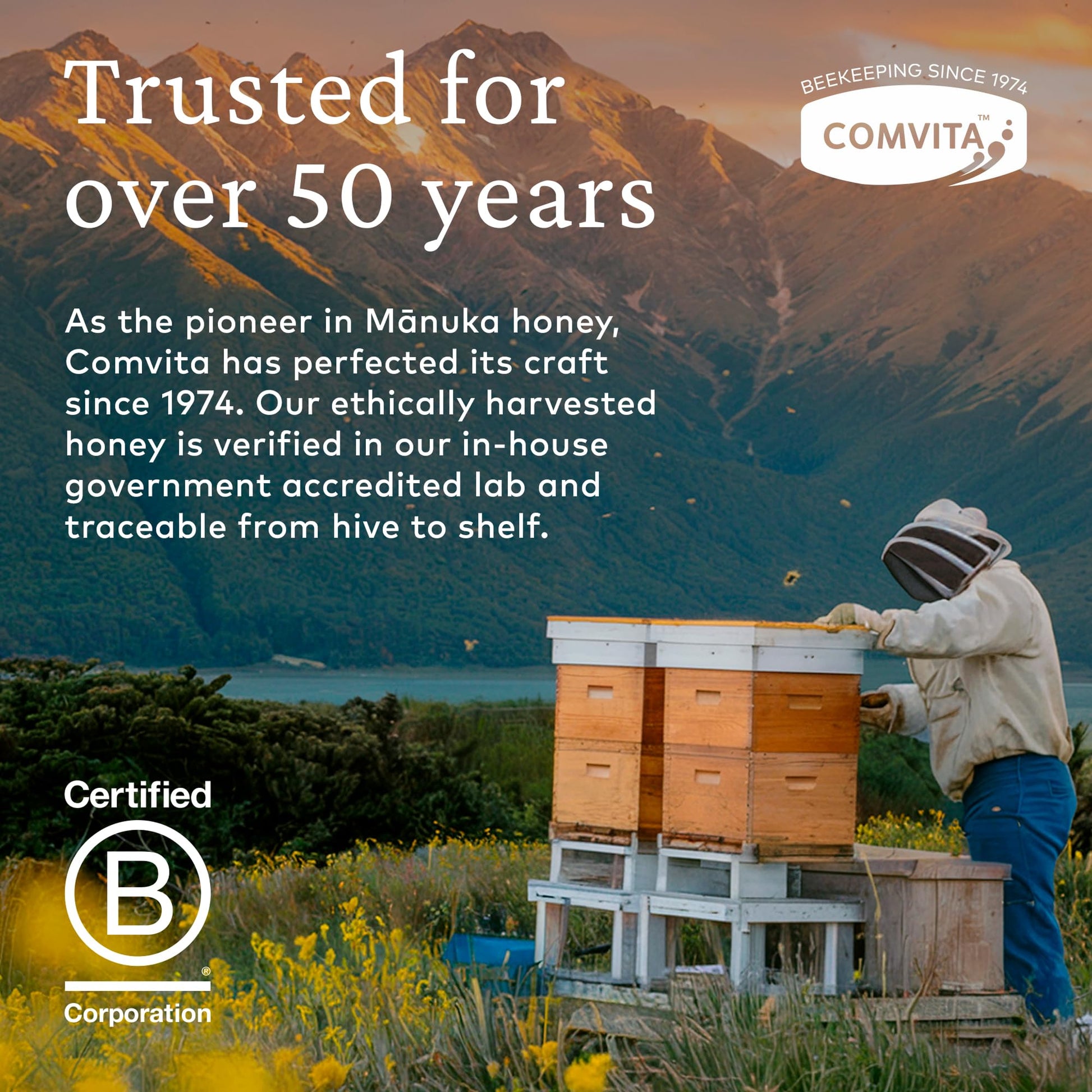 Comvita Manuka Honey UMF 15+ (MGO 514+) - Raw Manuka Honey New Zealand, Pure & Unpasteurized, Superfood for Immune Health, Use in Tea, Wild, Monofloral, Non-GMO - 500g (17.6 oz) - Medaid International