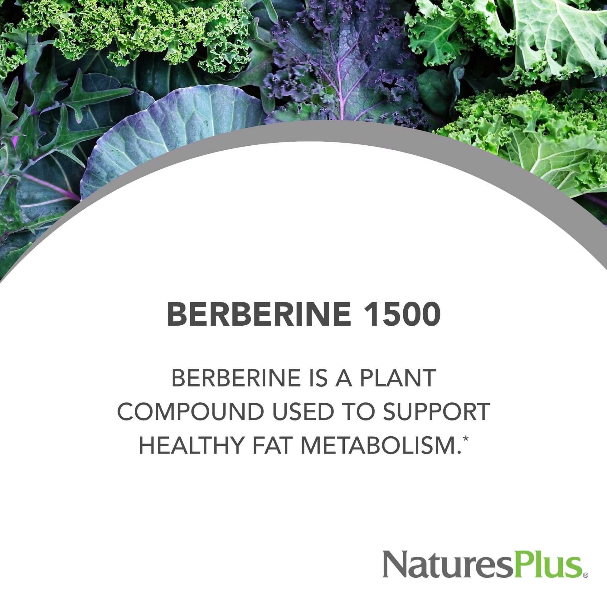 Natures Plus PRO Berberine 1500 mg - 60 Tablets - Supports Healthy Metabolism - Non-GMO, Vegan & Gluten Free - 30 Servings - Medaid International