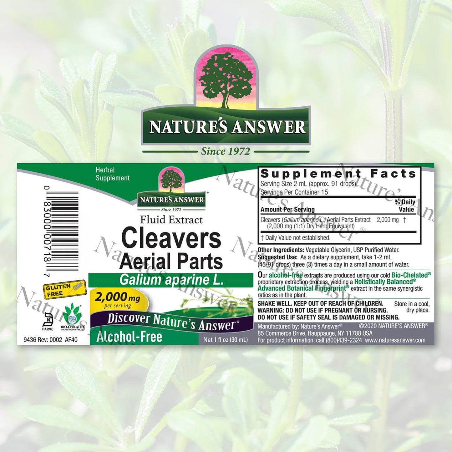 Nature's Answer Alcohol-Free Cleavers Herb, 1-Fluid Ounce | Supports Overall Wellbeing | Dietary Supplement - Medaid International