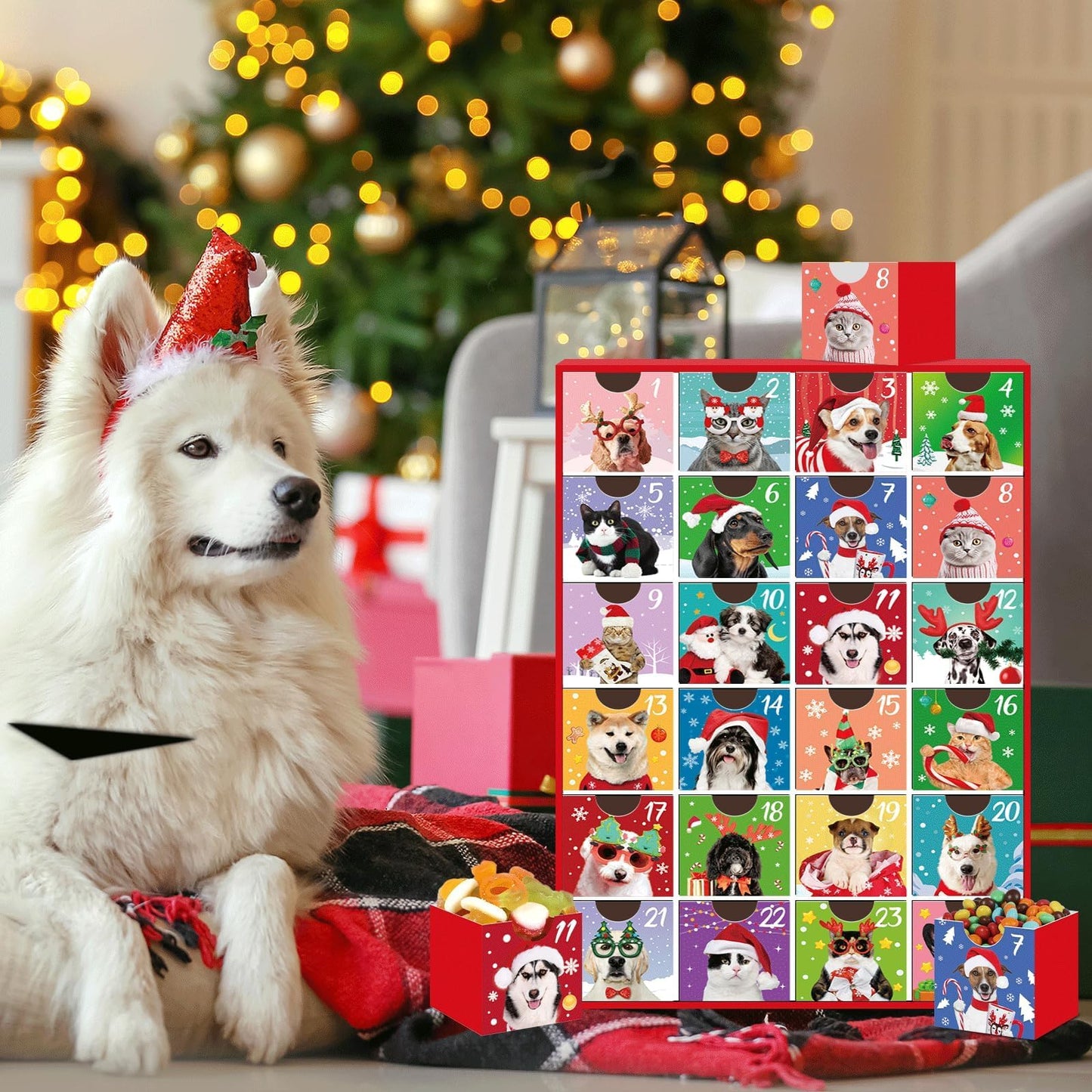 Dogs & Cats Advent Calendar 2025, Empty Advent Calendar to Fill Yourself, Advent Calendar Box Drawers Christmas Gifts for Pet Dog Lover Personalize with Treats Winter Holiday Xmas Countdown Gift - Medaid International