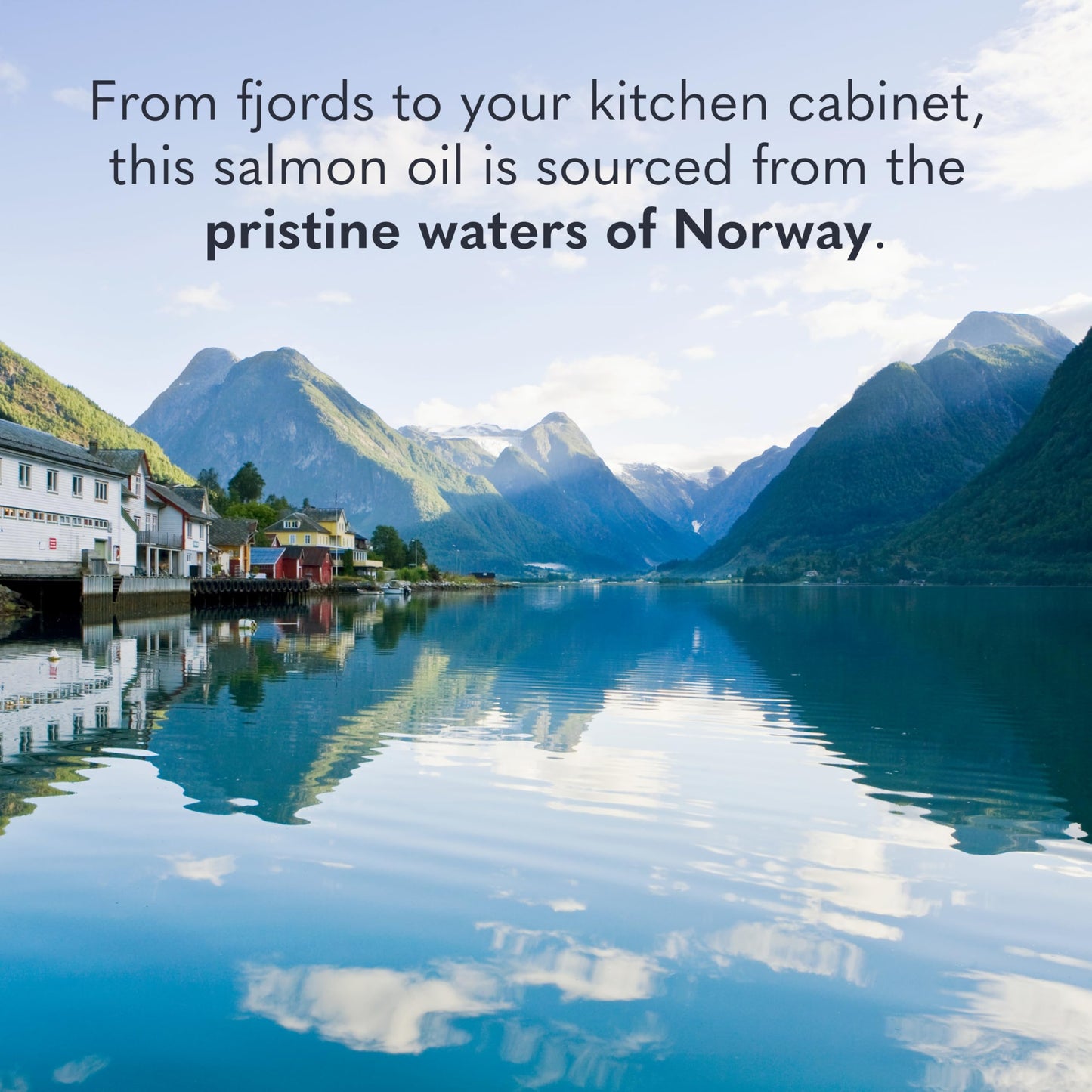 Garden of Life Dr. Formulated Norwegian Salmon Oil - Dietary Supplement - Full Spectrum Omega-3 EPA, DHA, DPA - Fish Oil from Norwegian Fjords - for Heart Health - 60 Softgels - Medaid International