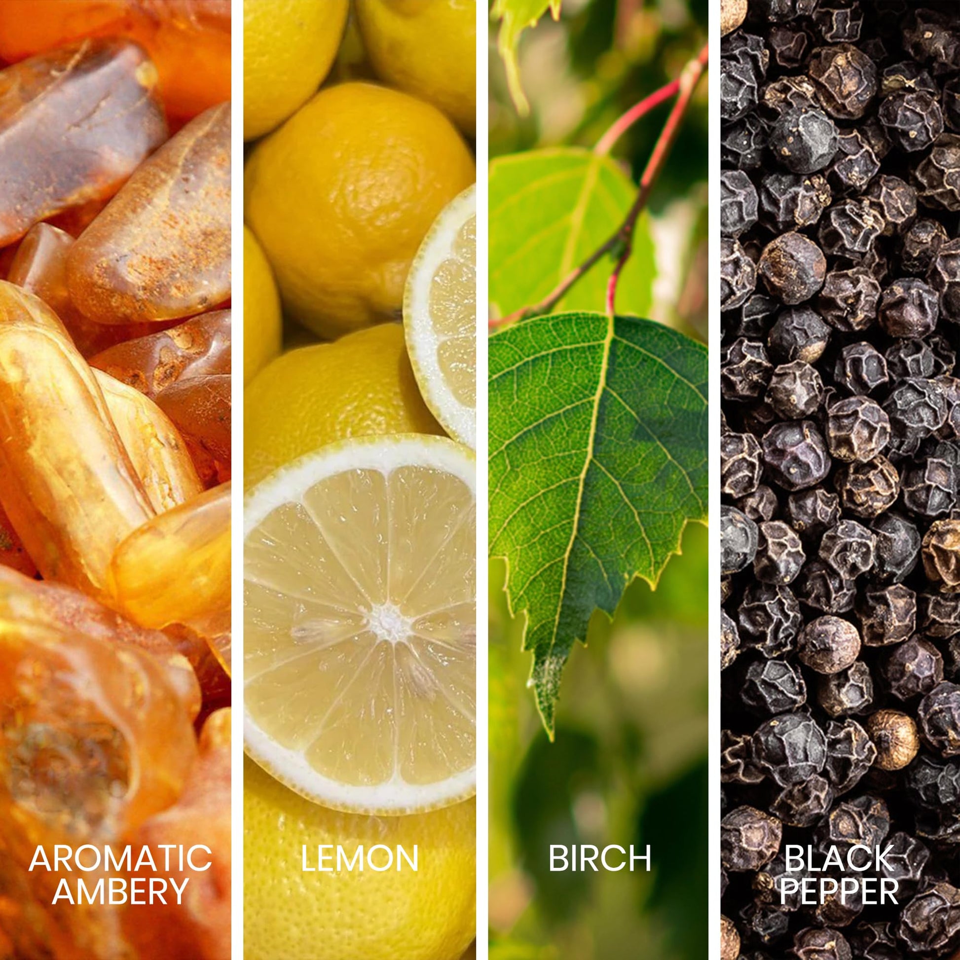 Sapil Intense Noir Eau de Parfum for Men – Long-Lasting Masculine Perfume with Amber, Leather, Patchouli & Musk – Bold Scent with Citrus Notes – 100ml - Medaid International