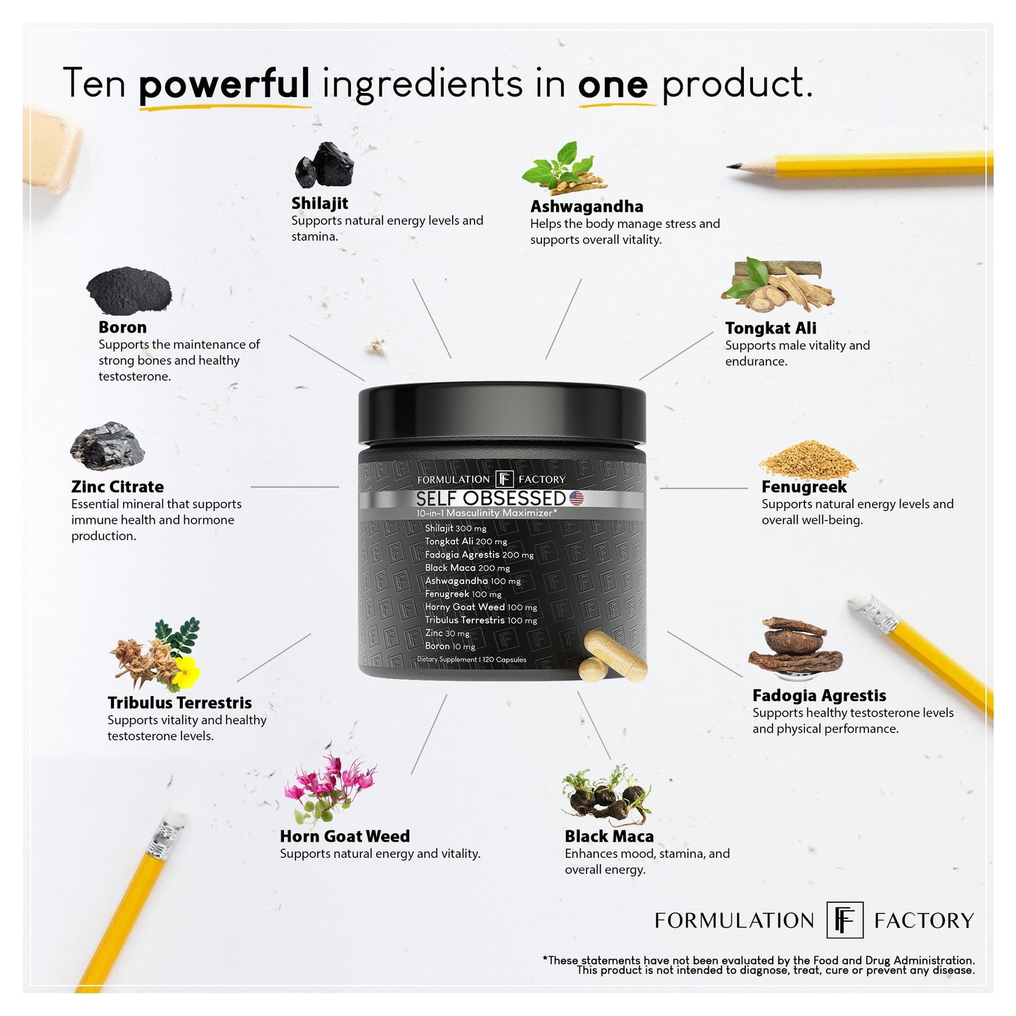 Formulation Factory Self Obsessed 10 in 1 Masculinity Maximizer Supplement, Shilajit for Men, Tongkat Ali, Ashwaganda, Fenugreek Muscle Growth, Energy, Drive, Strength, Recovery 2 Month (Pack of 1) - Medaid International
