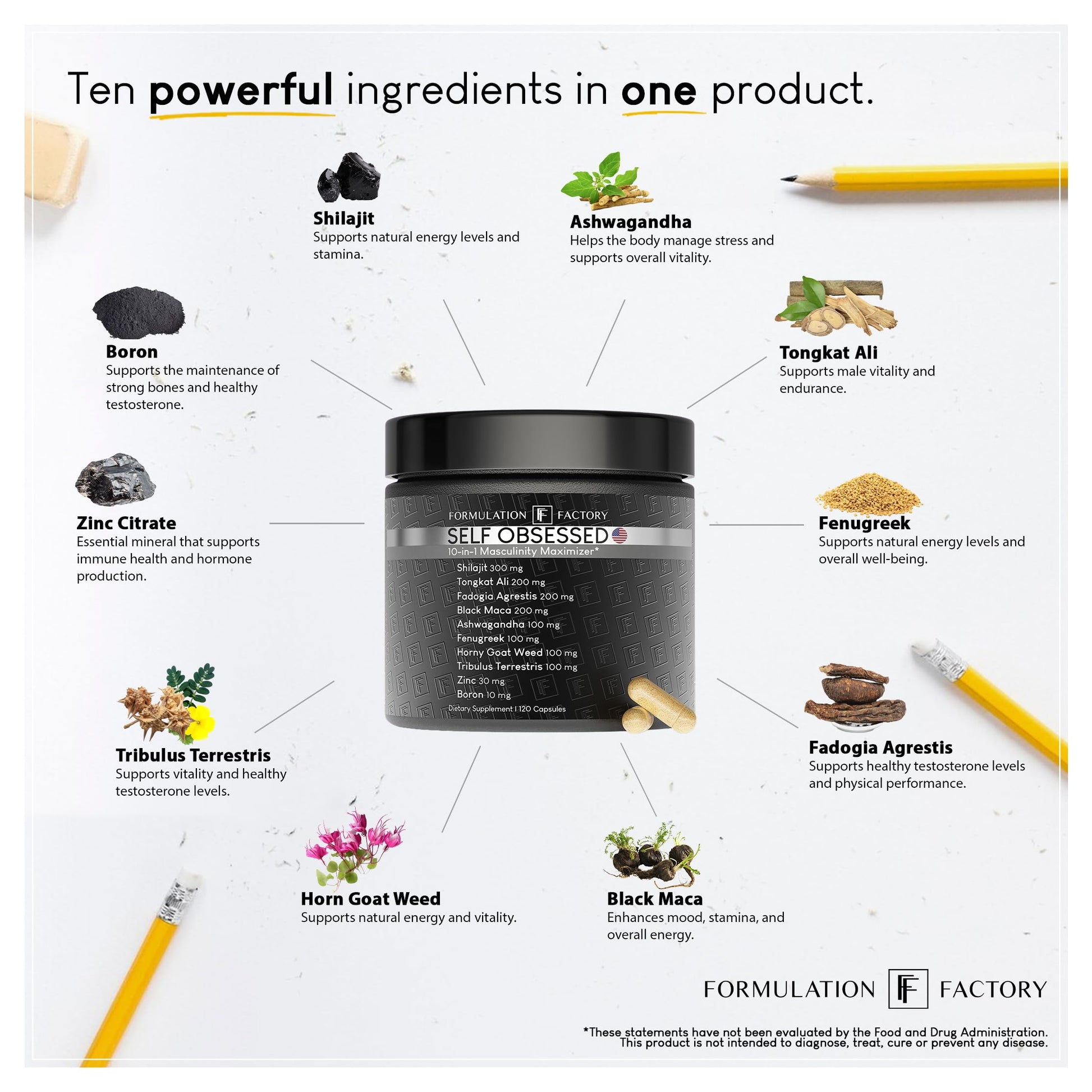 Formulation Factory Self Obsessed 10 in 1 Masculinity Maximizer Supplement, Shilajit for Men, Tongkat Ali, Ashwaganda, Fenugreek Muscle Growth, Energy, Drive, Strength, Recovery 2 Month (Pack of 1) - Medaid International