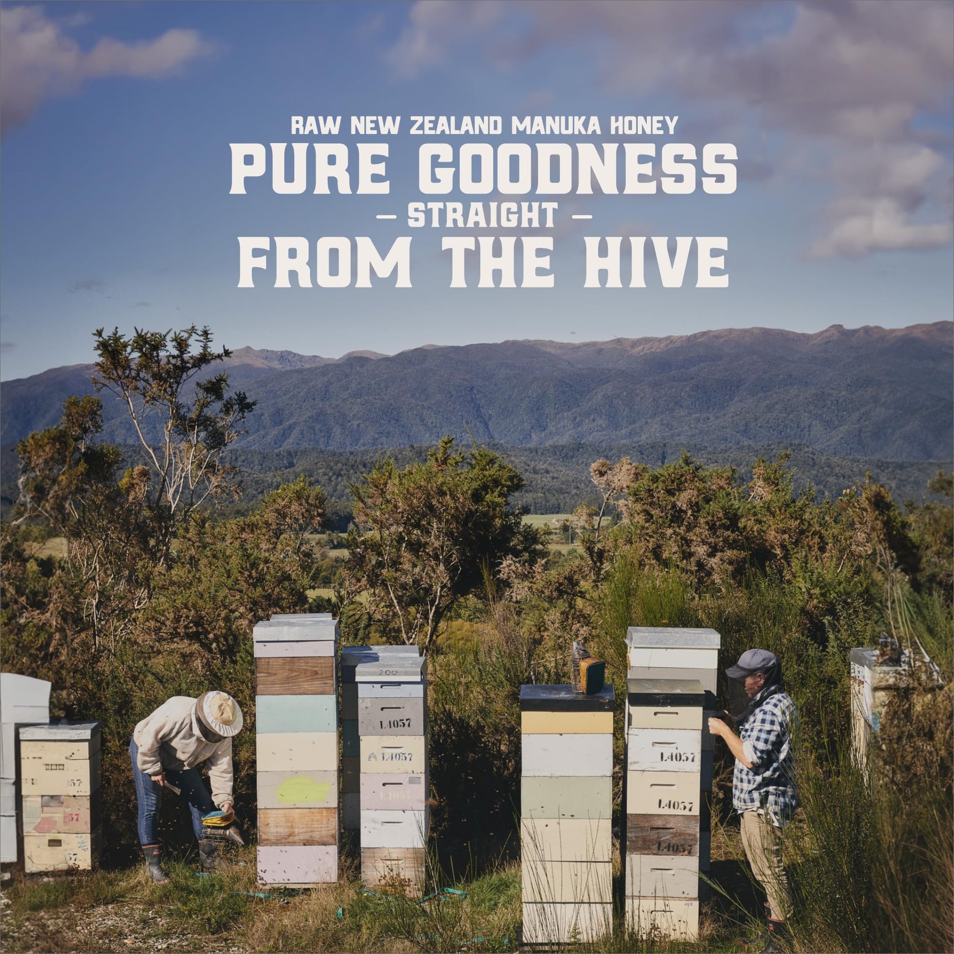 Gold Fern Honey - Raw New Zealand Manuka Honey | 1.1lb Monofloral MGO 200+ | Pure, Natural, Unpasteurized, and Unfiltered Superfood Honey, Traceable from Hive to Hand. - Medaid International