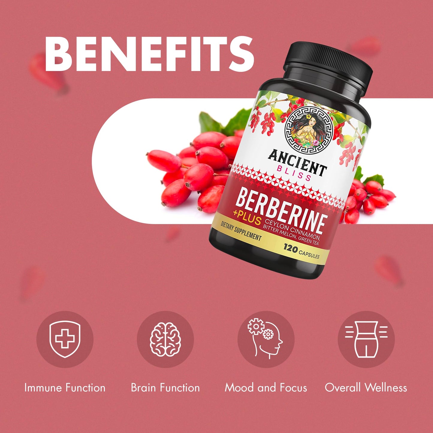 Ancient Bliss Berberine HCL 1200mg with Ceylon Cinnamon, Bitter Melon, and Green Tea Extract - 120 Capsules - Medaid International