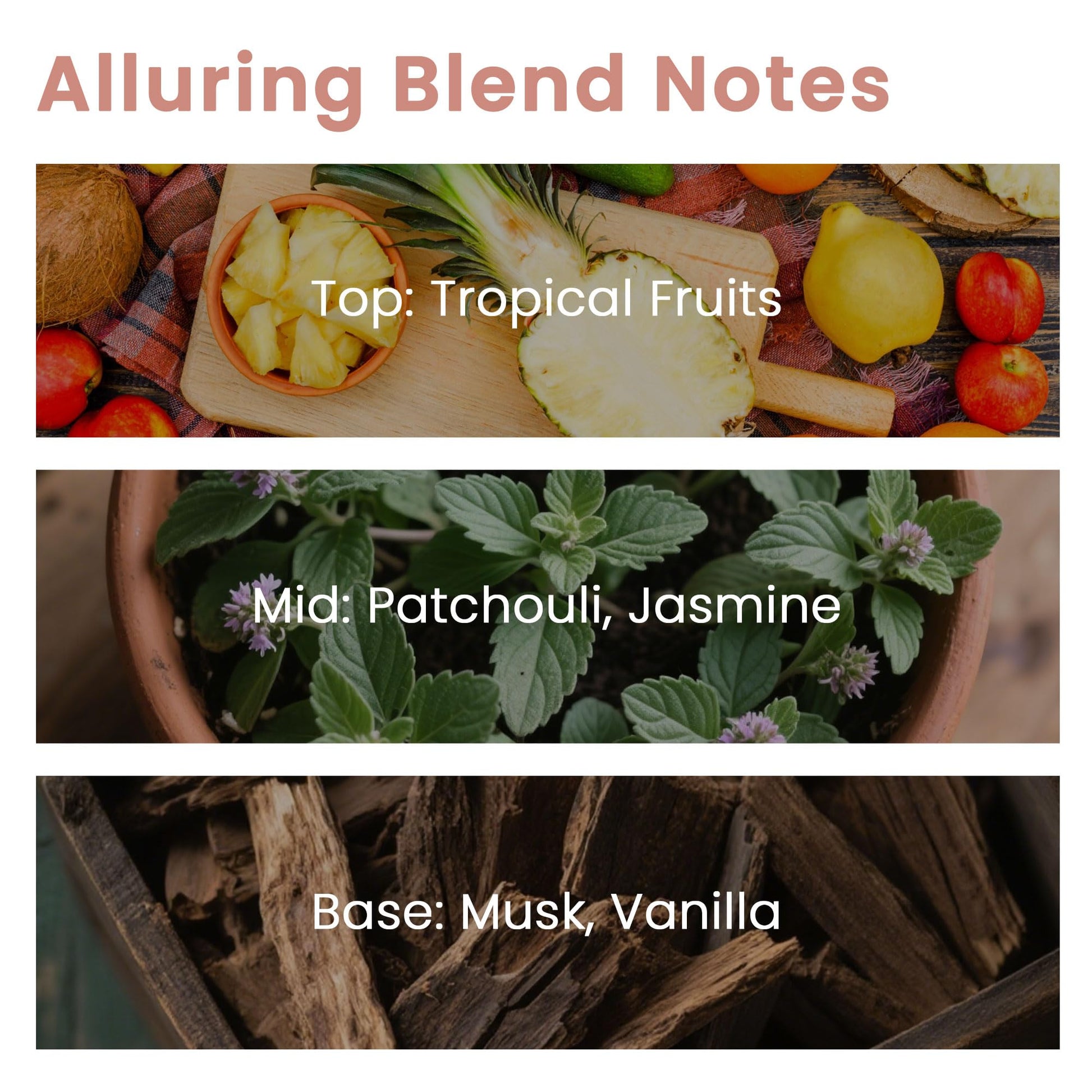 Musk Wild Vanilla Fragrance Oil, ESSLUX Large Single Essential Oil 30ml, Aromatherapy Candle Making Scents, Middle Eastern Scented Oils for Home for Diffuser, Massage, Soap, Perfume, Humidifier - Medaid International