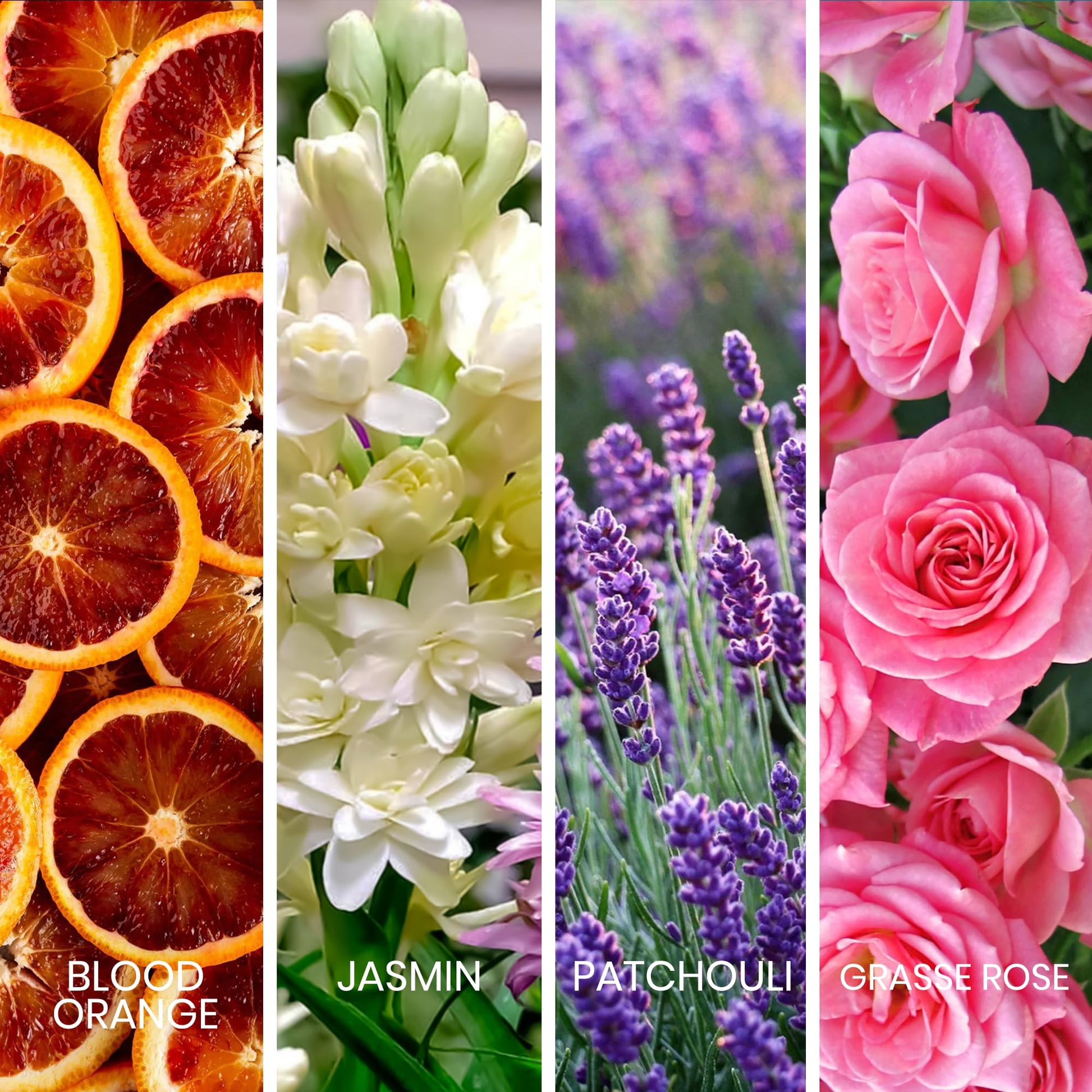 Sapil Desire Perfume for Women – Long-lasting Dubai Perfume Eau De Parfum Spray – Floral Chypre Scent – 2.7 Oz (80 ml) – Arabic Parfum for Women, Gift for Any Occasion - Medaid International