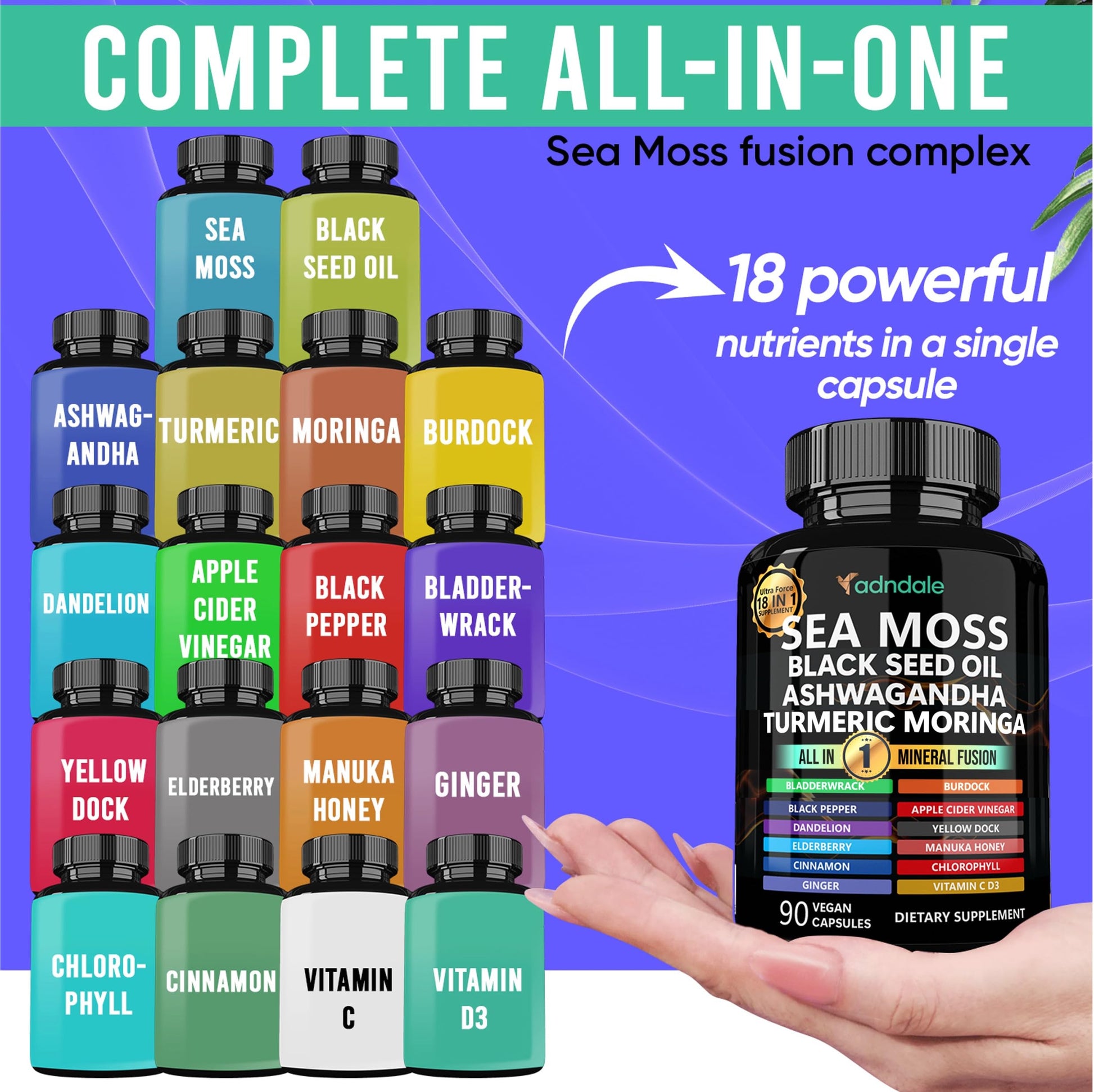 Adndale Sea Moss Black Seed Oil Ashwagandha Ginger Capsules. SeaMoss Capsules with Black Seed Oil, Ashwagandha, Turmeric, Moringa, Bladderwrack, Burdock Root, Manuka Honey, Cinnamon - Medaid International