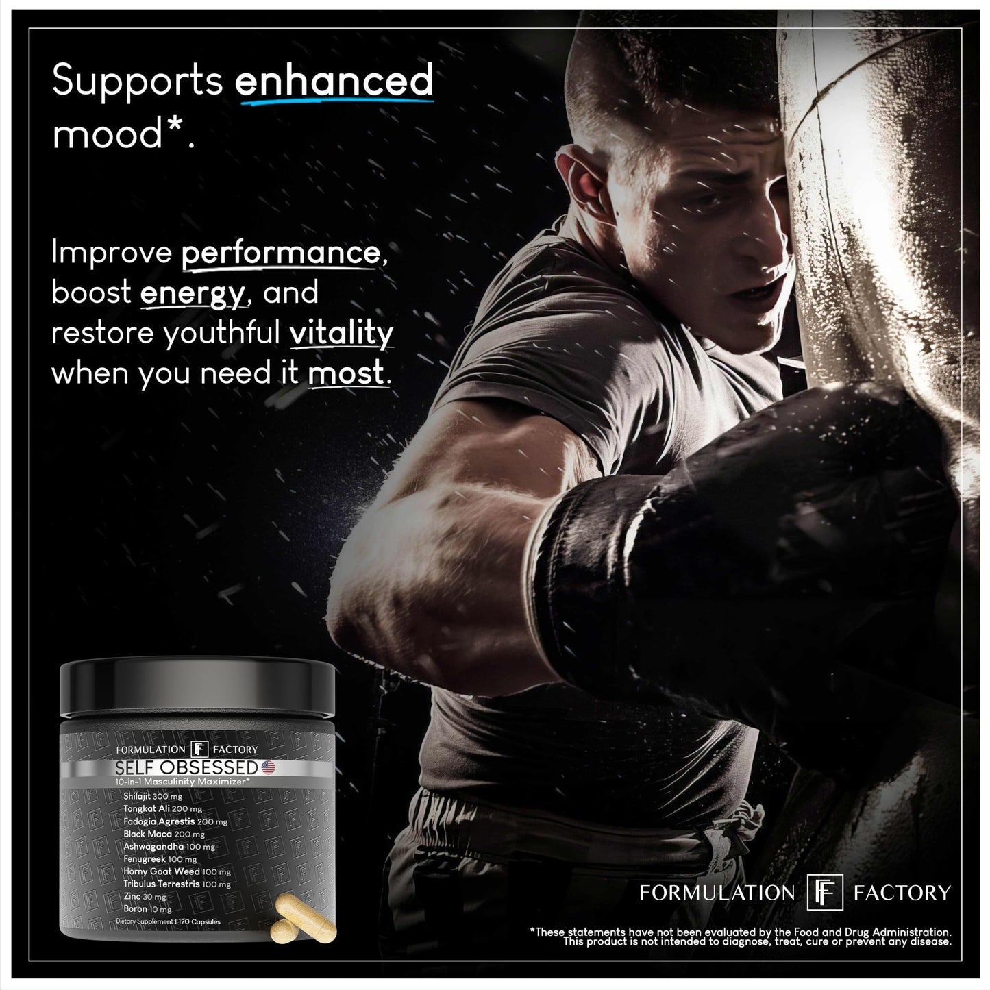 Formulation Factory Self Obsessed 10 in 1 Masculinity Maximizer Supplement, Shilajit for Men, Tongkat Ali, Ashwaganda, Fenugreek Muscle Growth, Energy, Drive, Strength, Recovery 2 Month (Pack of 1) - Medaid International
