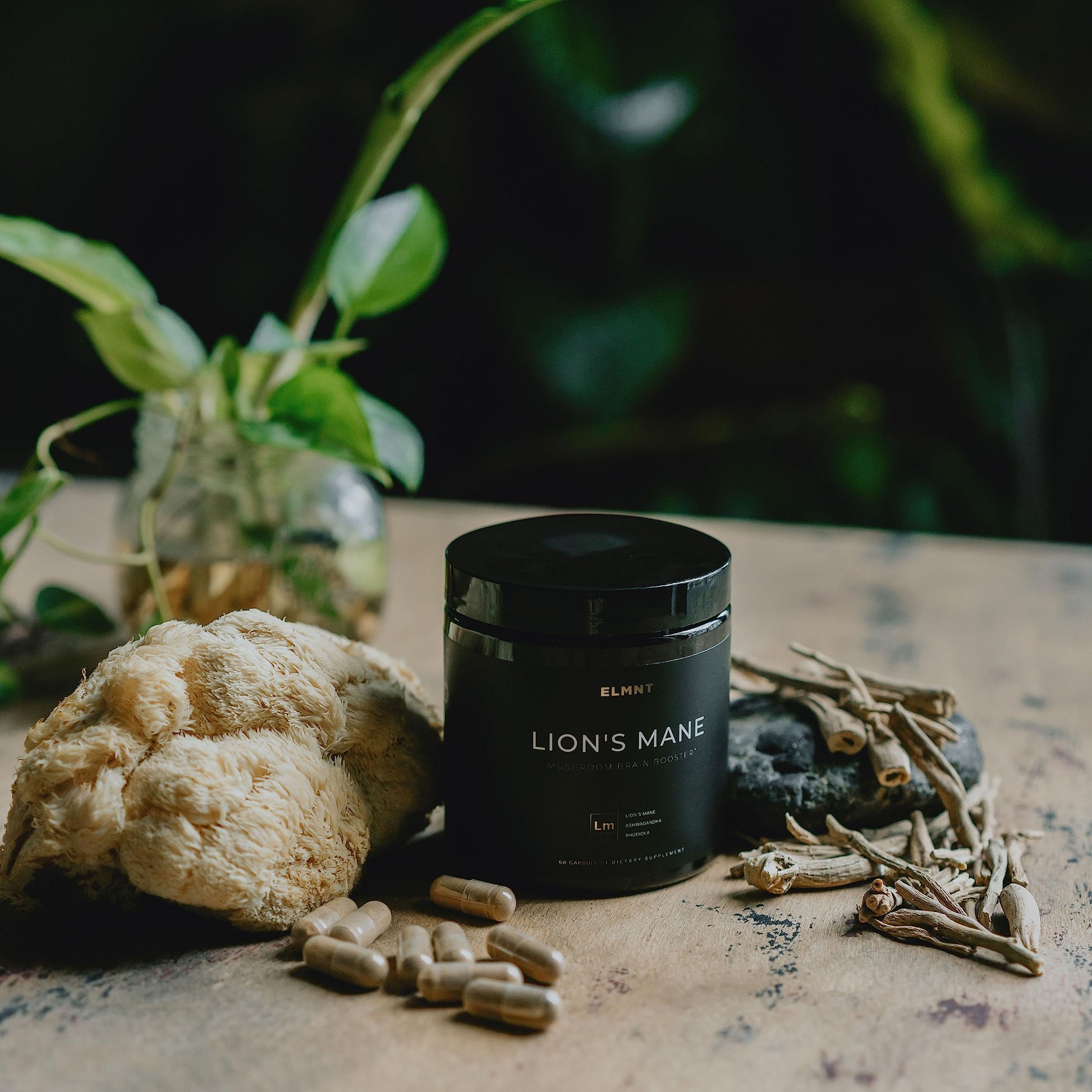 20,000mg 16x Strength Lions Mane Supplement Capsules Super Nootropic w. Ashwagandha & Rhodiola - Highest Potency Lion's Mane Mushroom Extract 50% Polysaccharides Brain Supplements for Memory and Focus - Medaid International