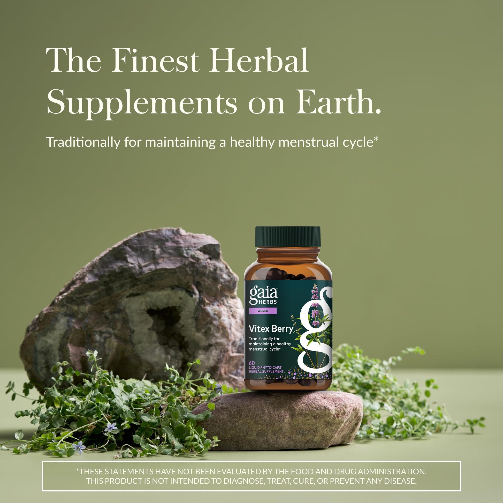 Gaia Herbs Vitex Berry - Supports Hormone Balance & Fertility in Women - 60 Vegan Liquid Phyto-Capsules (30-Day Supply) - Medaid International