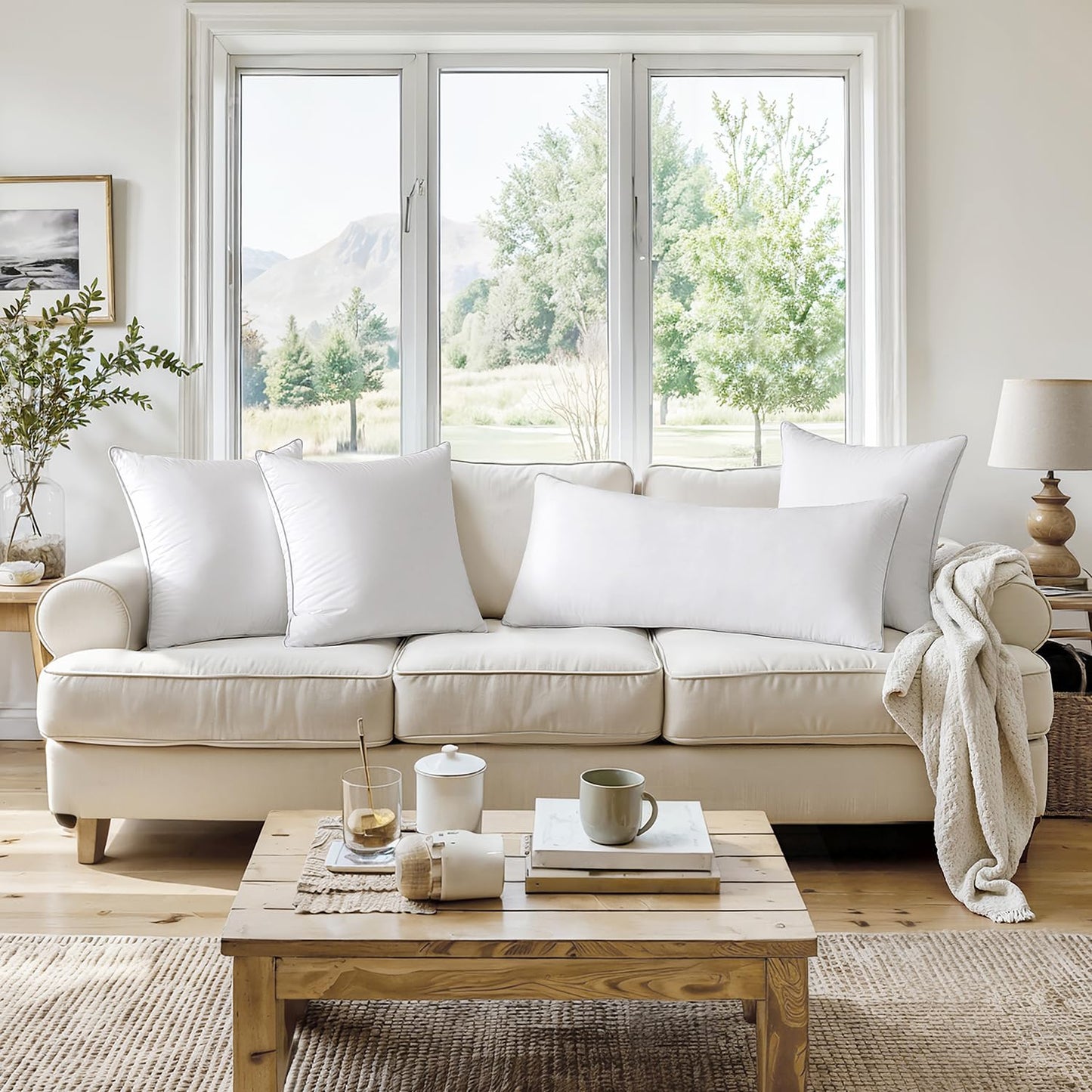 MIULEE 20 x 20 Pillow Inserts (Set of 2) -Throw Pillows for Couch Sofa with 100% Cotton Covers - Medaid International