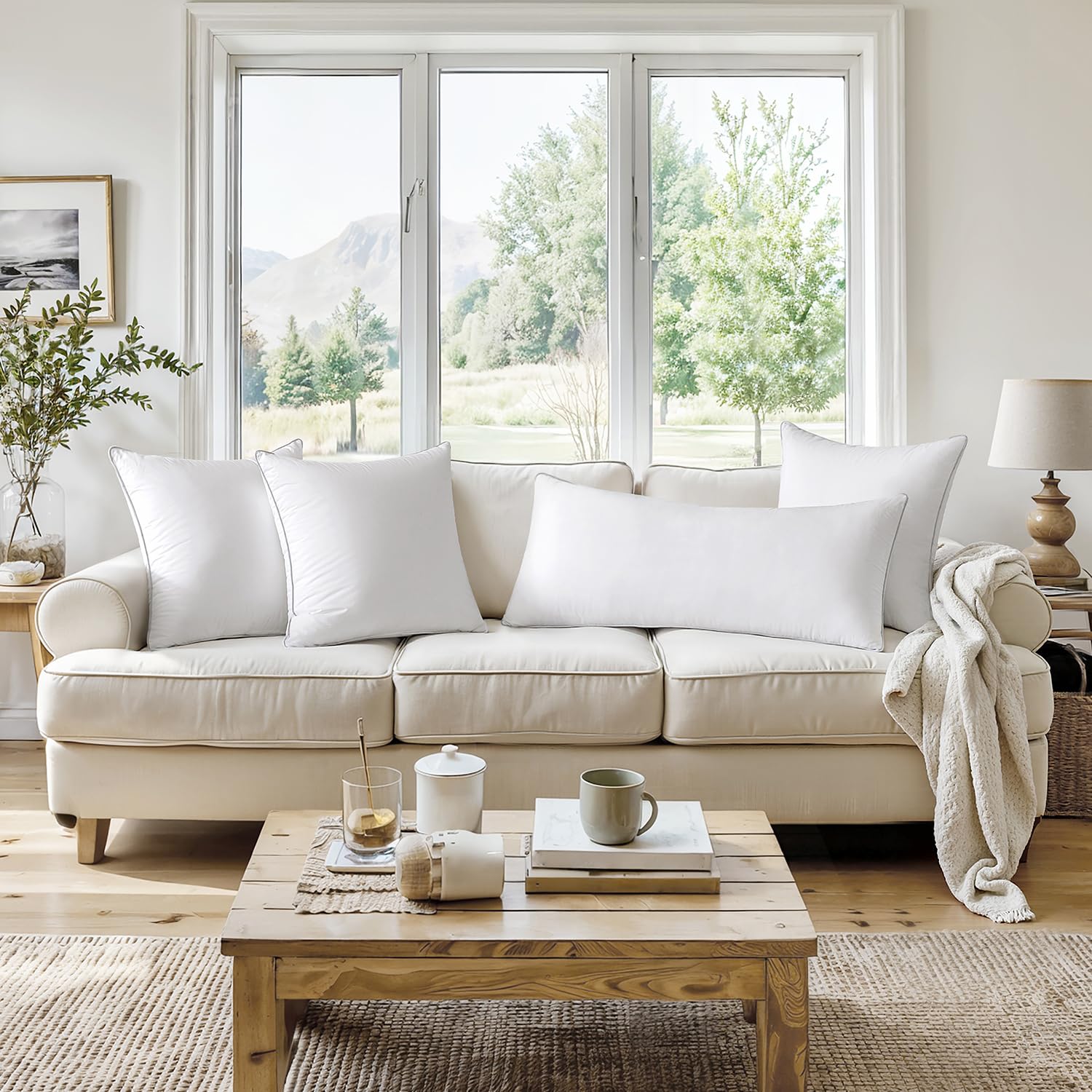 MIULEE 20 x 20 Pillow Inserts (Set of 2) -Throw Pillows for Couch Sofa with 100% Cotton Covers - Medaid International