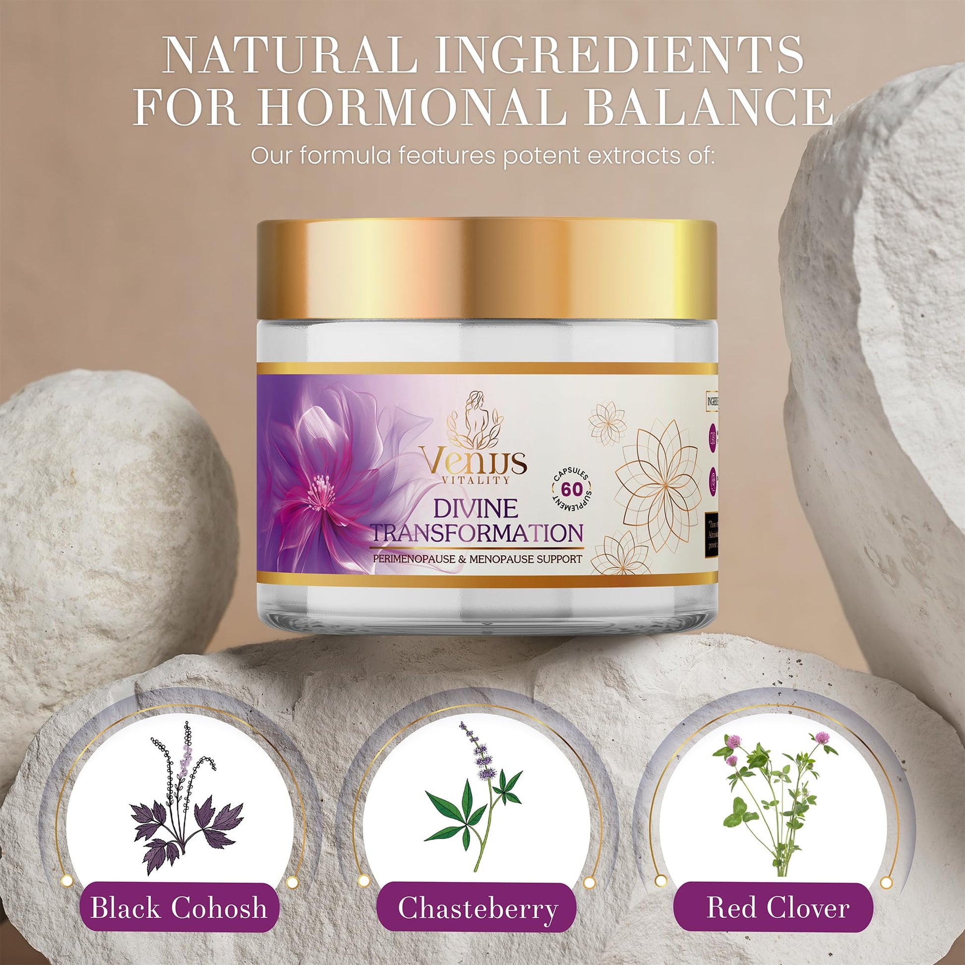 Black Cohosh for Menopause Hot Flashes – Maca Root & Holy Basil Supplement for Hormone Balance – Chasteberry, Rhodiola, Valerian Root, Saw Palmetto, and Red Clover for Natural Menopause Relief - Medaid International