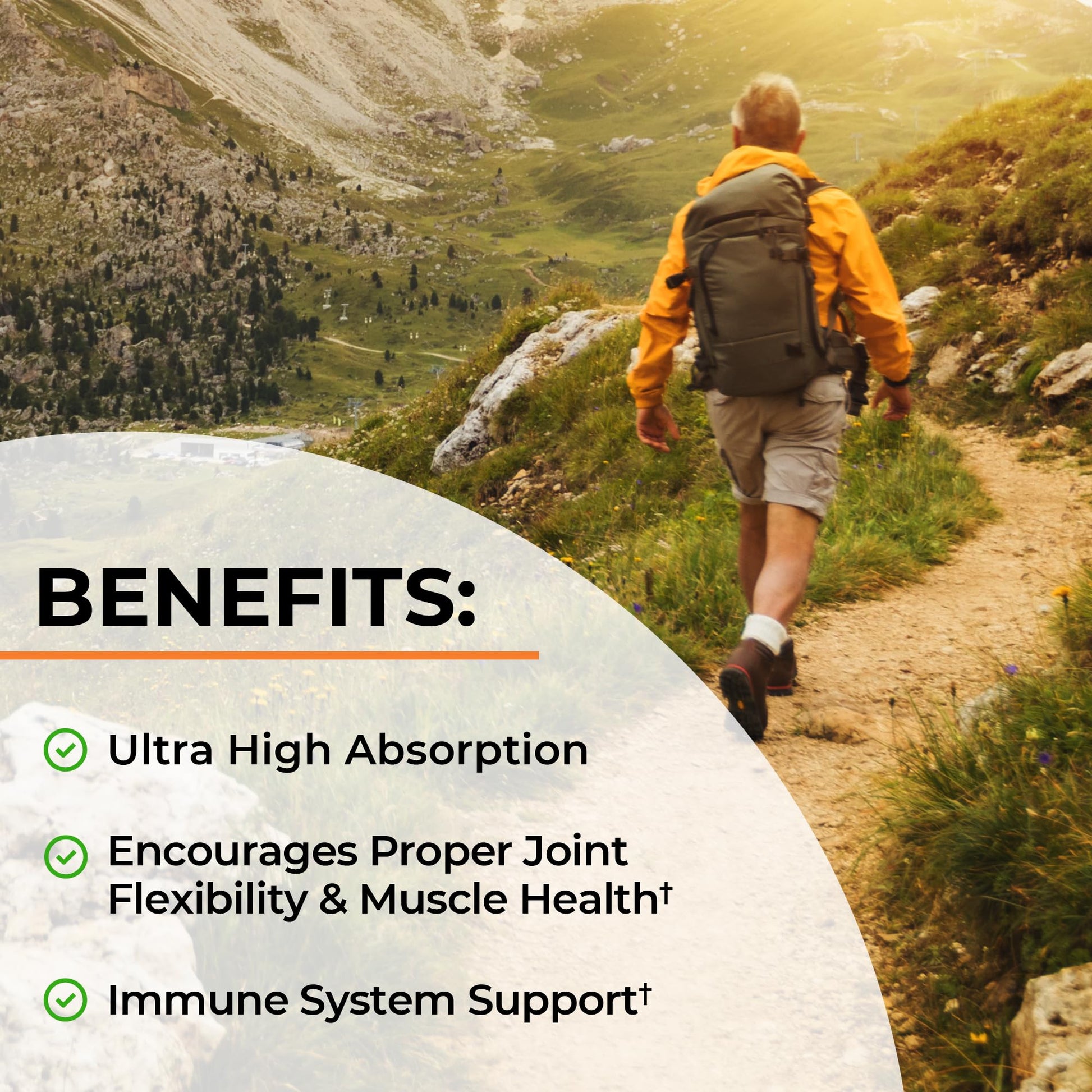 Turmeric Curcumin with Black Pepper Extract 1500mg - High Absorption Ultra Potent Turmeric Supplement with 95% Curcuminoids and BioPerine - Non GMO Tumeric Capsules for Joint Support - 90 Capsules - Medaid International