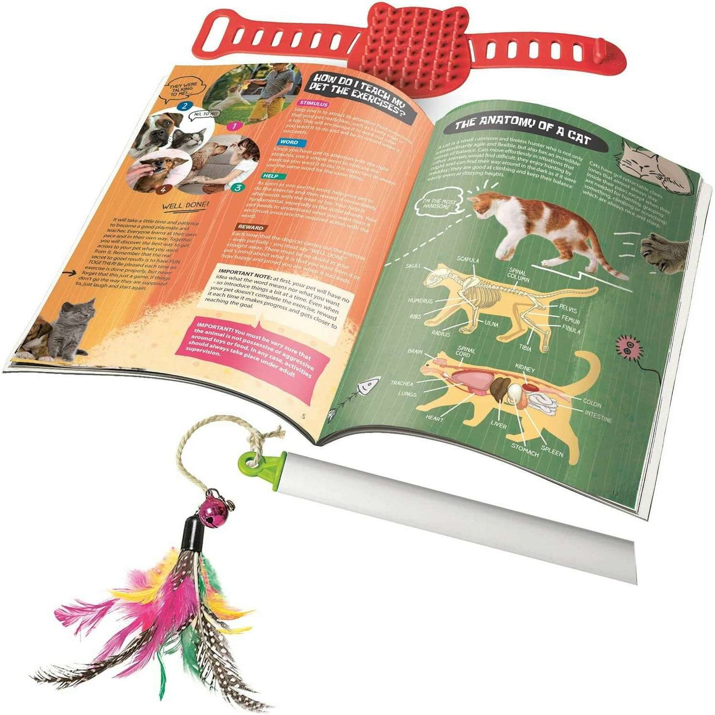 Pet Lab - EN - Medaid International